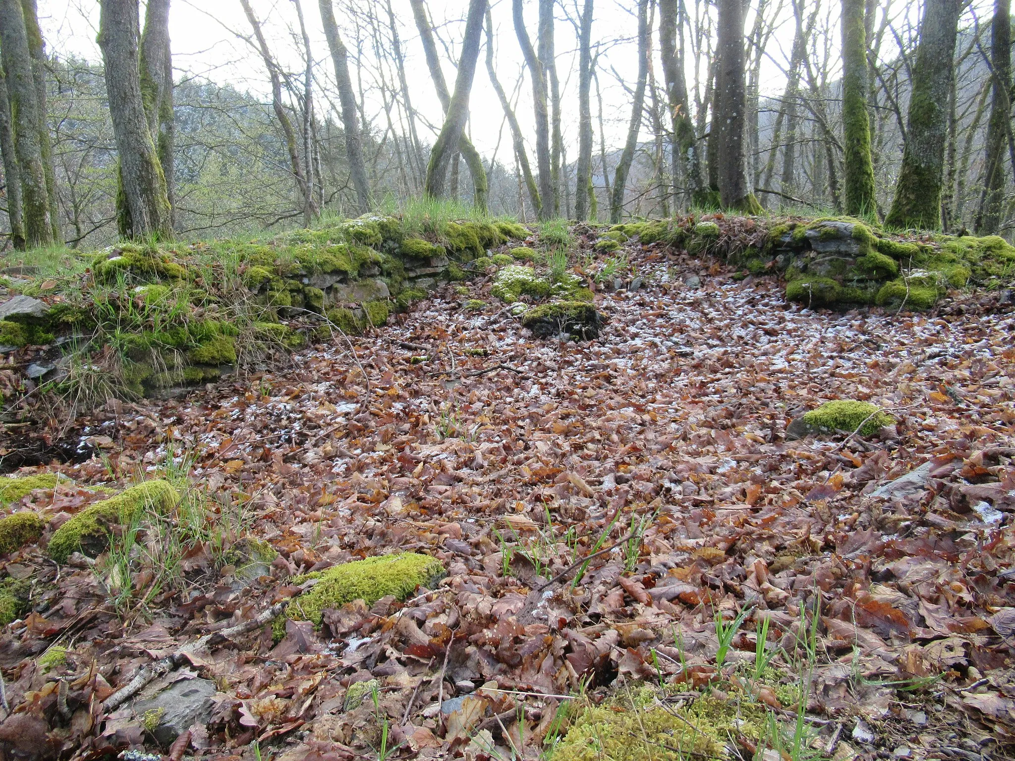 Photo showing: Burgkopf, Fell, Mauerreste