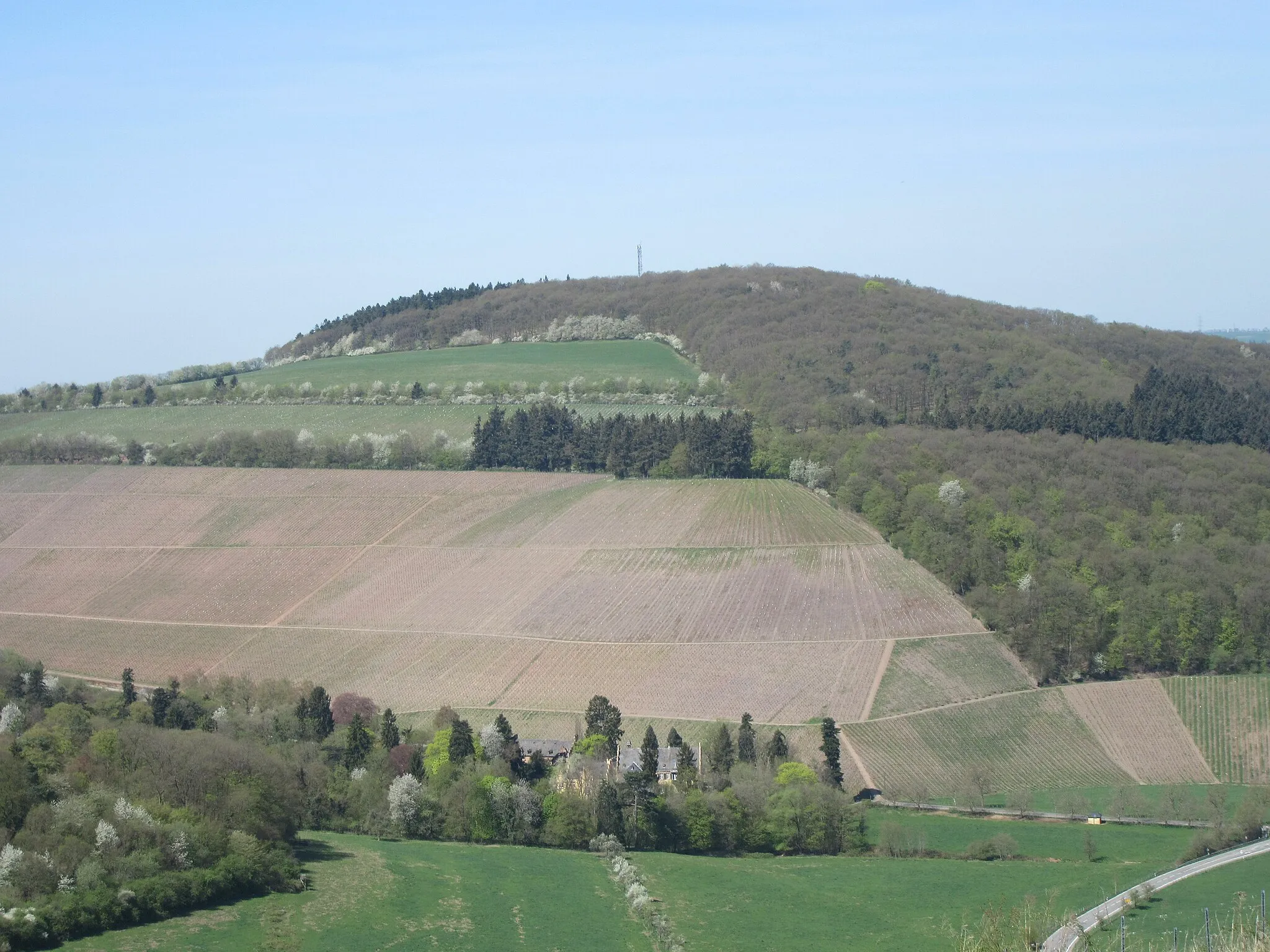 Photo showing: Grüneberg Mertesdorf/Trier