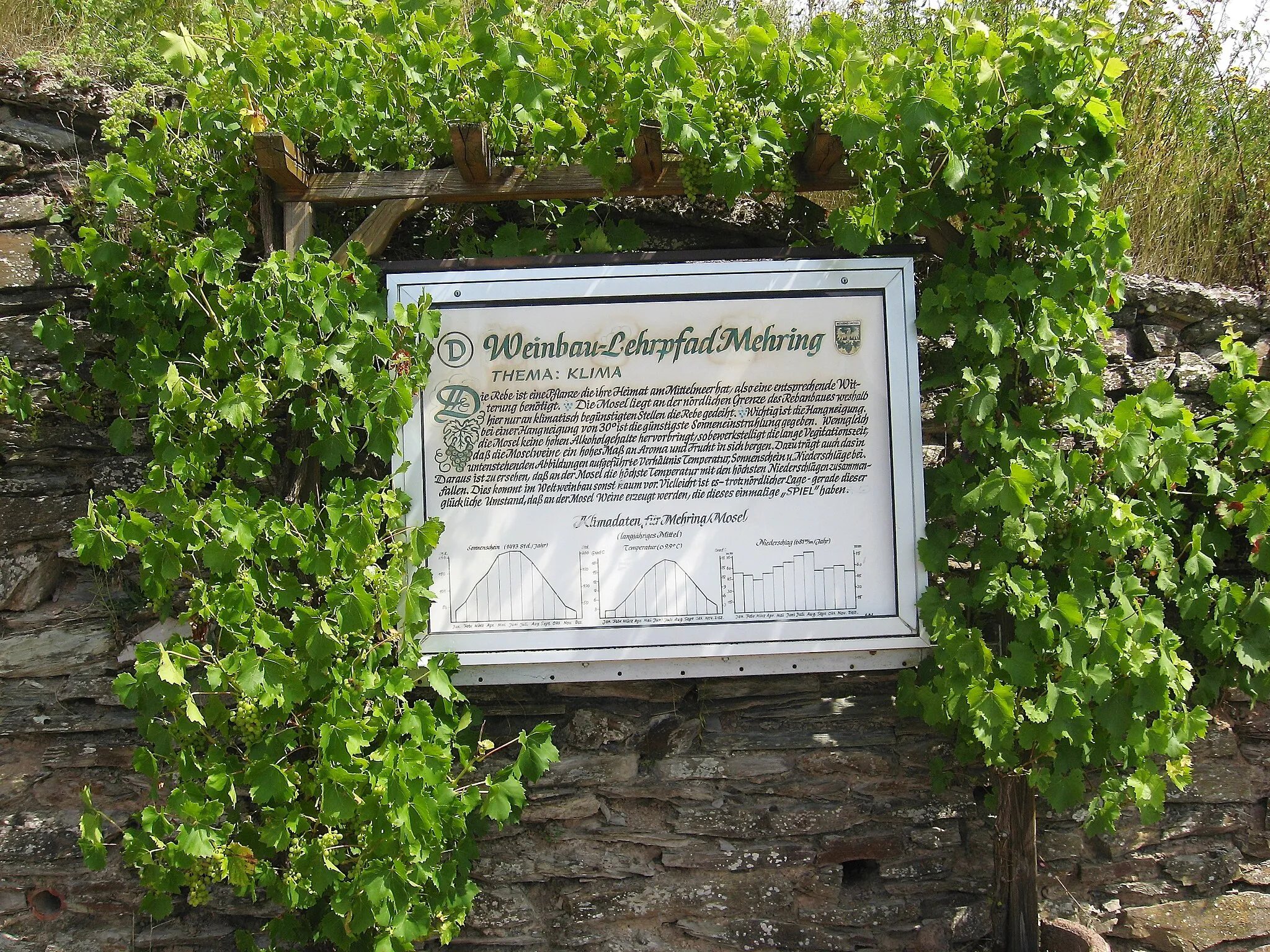 Photo showing: Weinlehrpfad