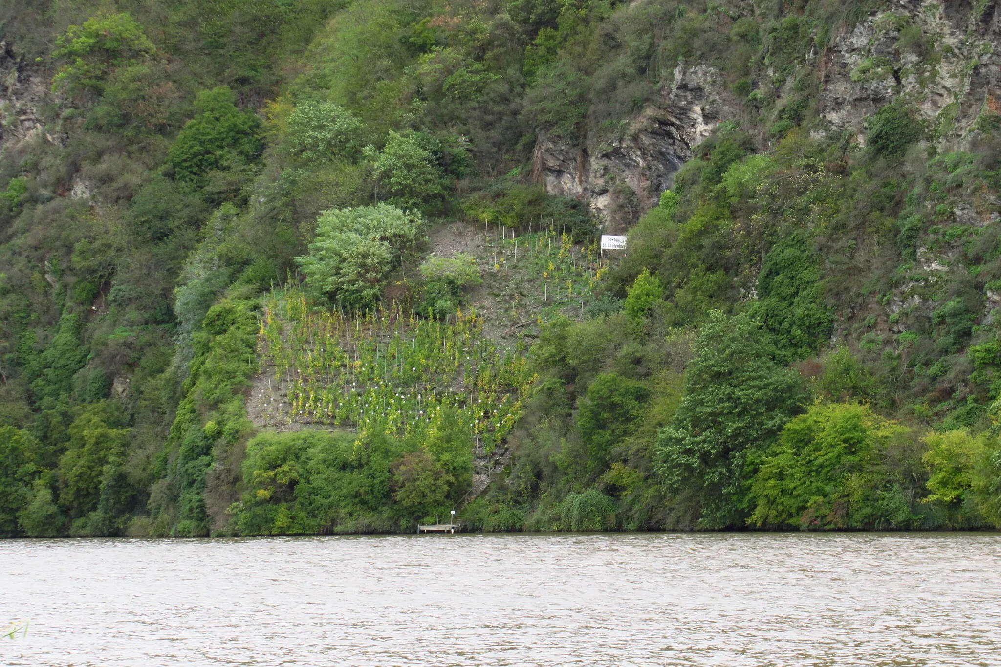 Photo showing: Die Erzlay an der Moselloreley: Blick von Reinsport (aprox. Flusskilometer 145,5).