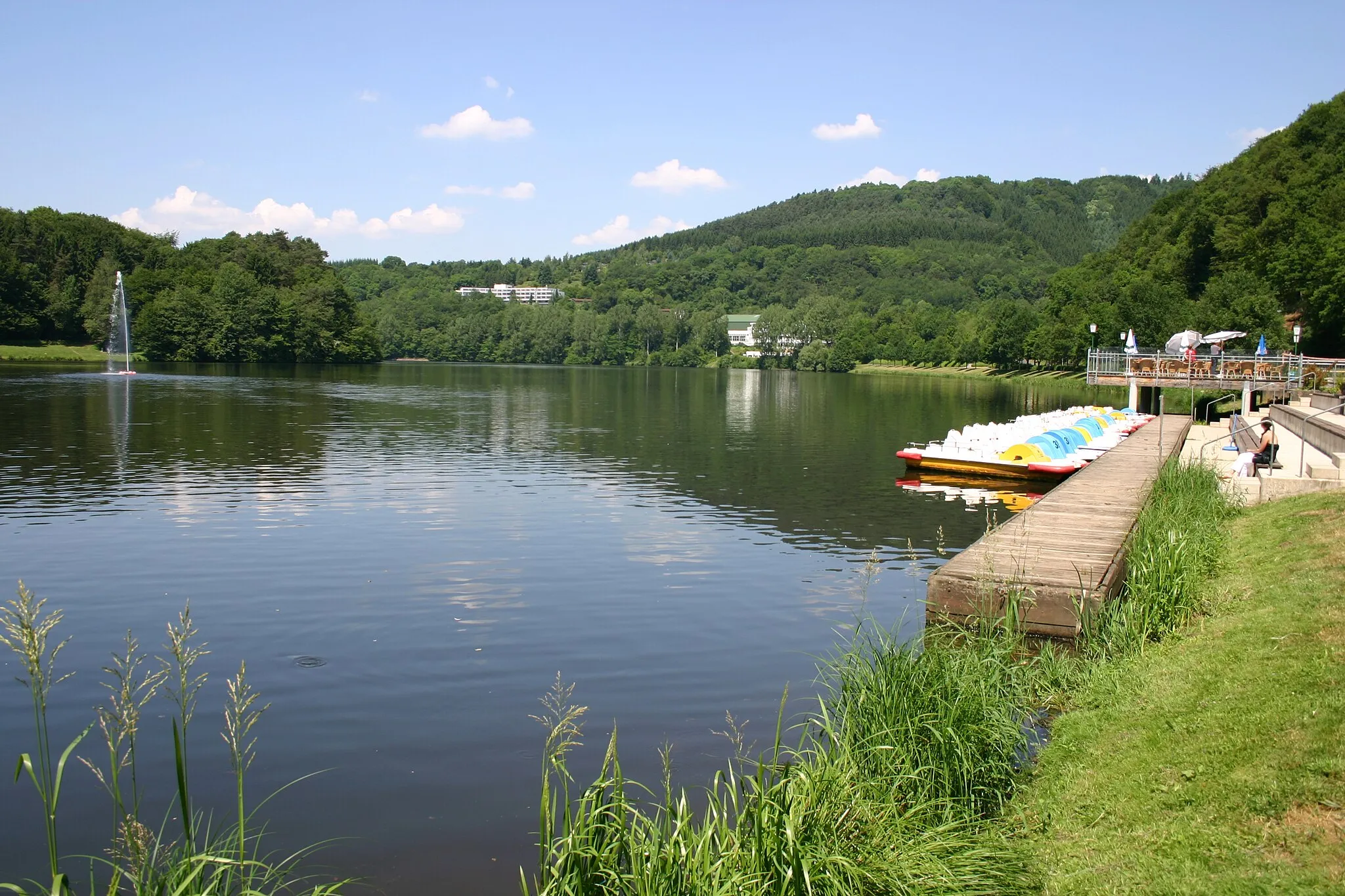 Photo showing: Ufer des Stausee Bitburg in Biersdorf am See