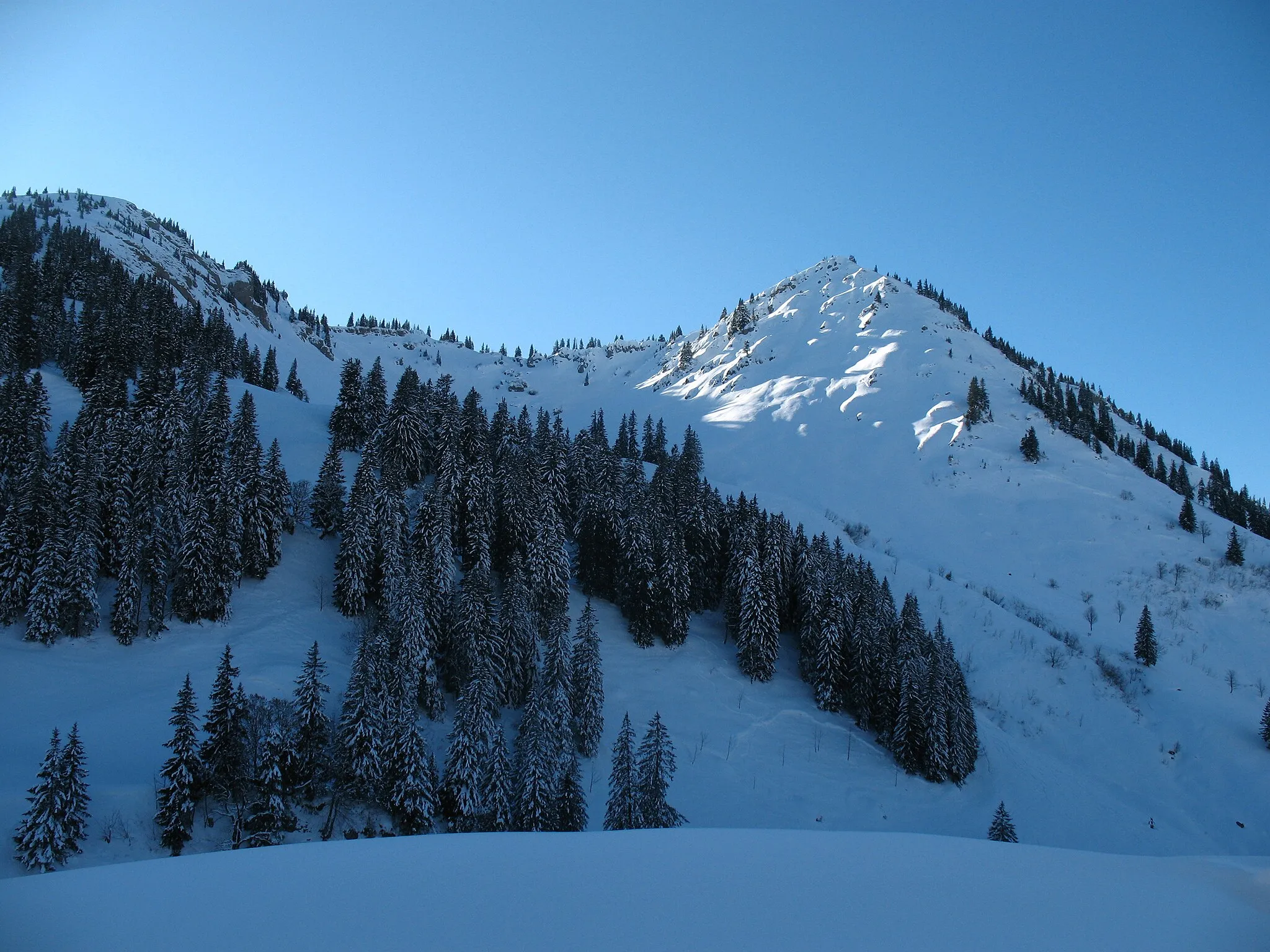 Photo showing: Blick aus dem Gebiet der Scheidwangalm auf Heidenkopf (1685 m) und Girenkopf (1683 m).