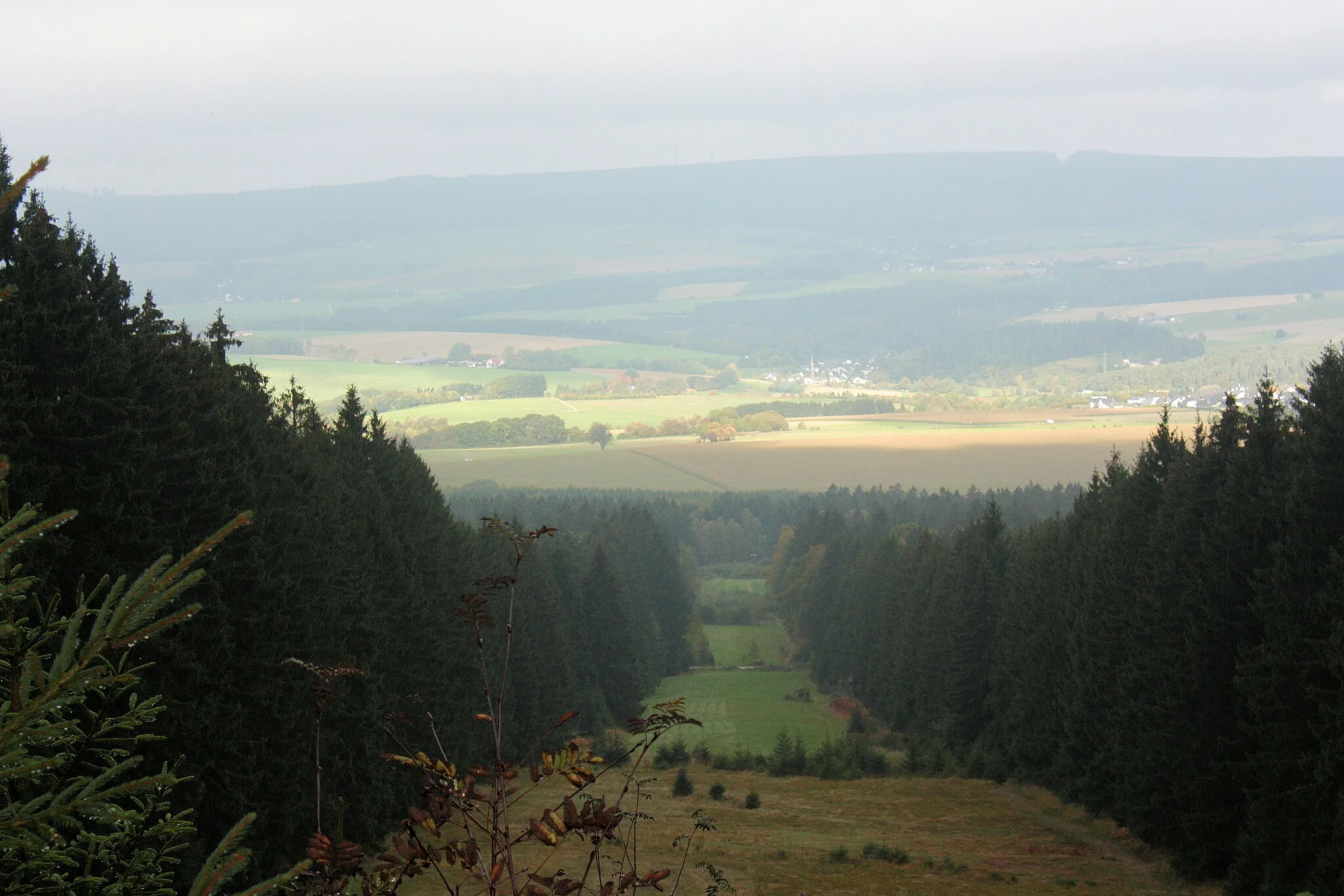 Photo showing: Morbach, view from forest "Idarwald" to Rapperath