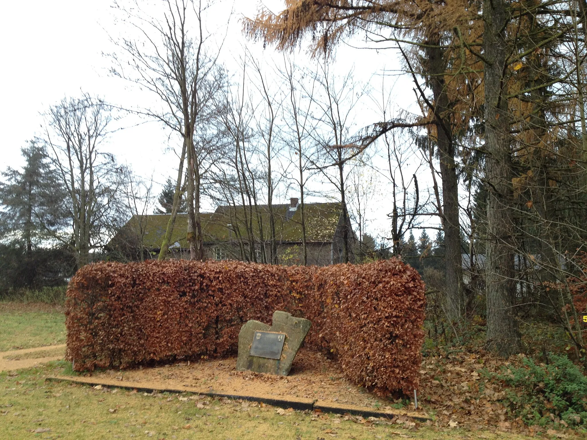 Photo showing: 394 Infantry Regiment Presidential Unit Citation at Losheimergraben for Battle of the Bulge