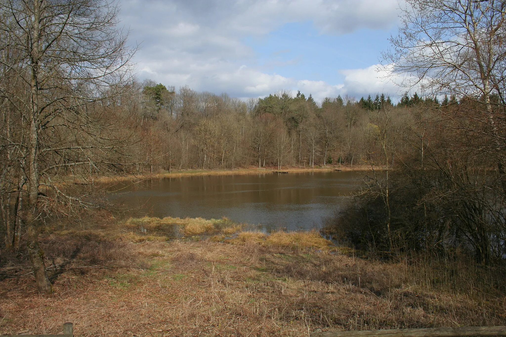 Photo showing: Windsborner Bergkratersee in der Vulkaneifel