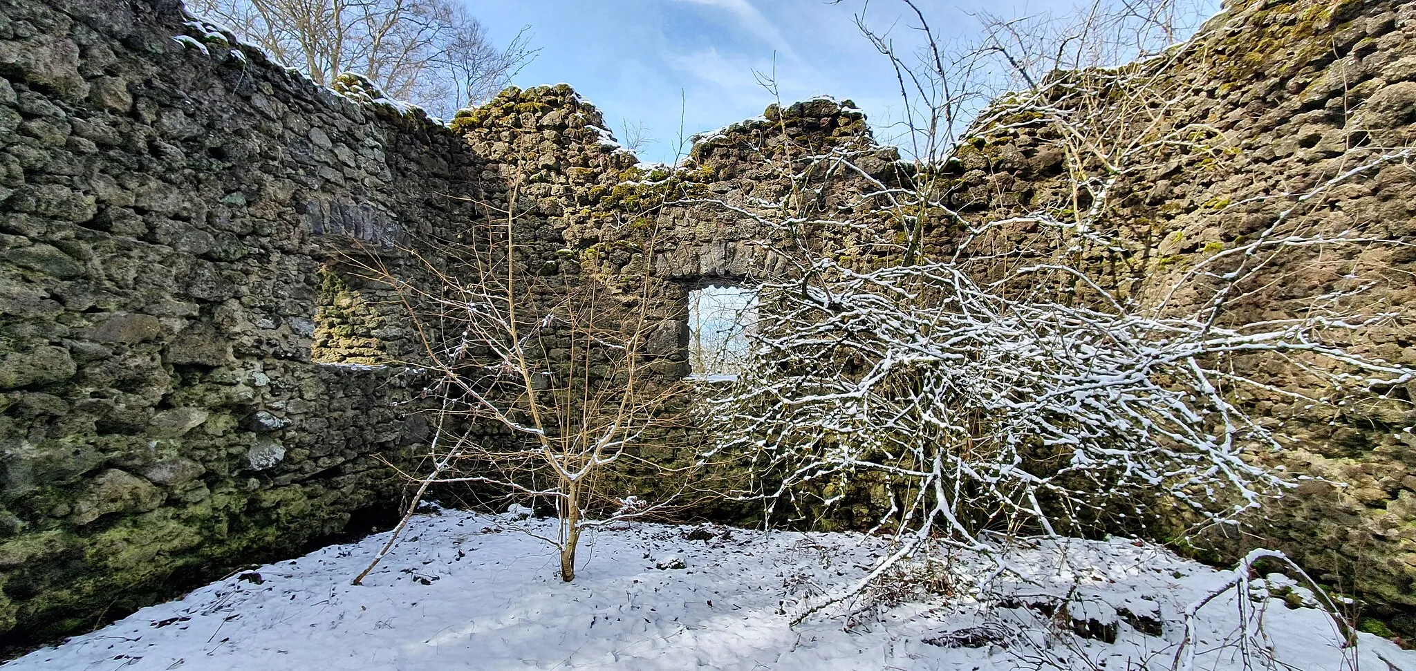 Photo showing: Freudenkoppe oder Burg Freudenkoppe, Ruine einer Höhenburg, einen Kilometer südöstlich von Neroth auf dem Nerother Kopf; Vulkaneifel (3)