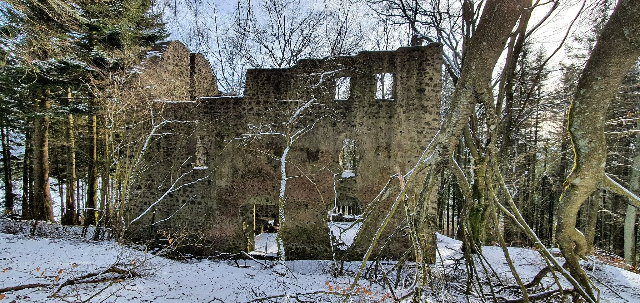 Photo showing: Freudenkoppe oder Burg Freudenkoppe, Ruine einer Höhenburg, einen Kilometer südöstlich von Neroth auf dem Nerother Kopf; Vulkaneifel (1)
