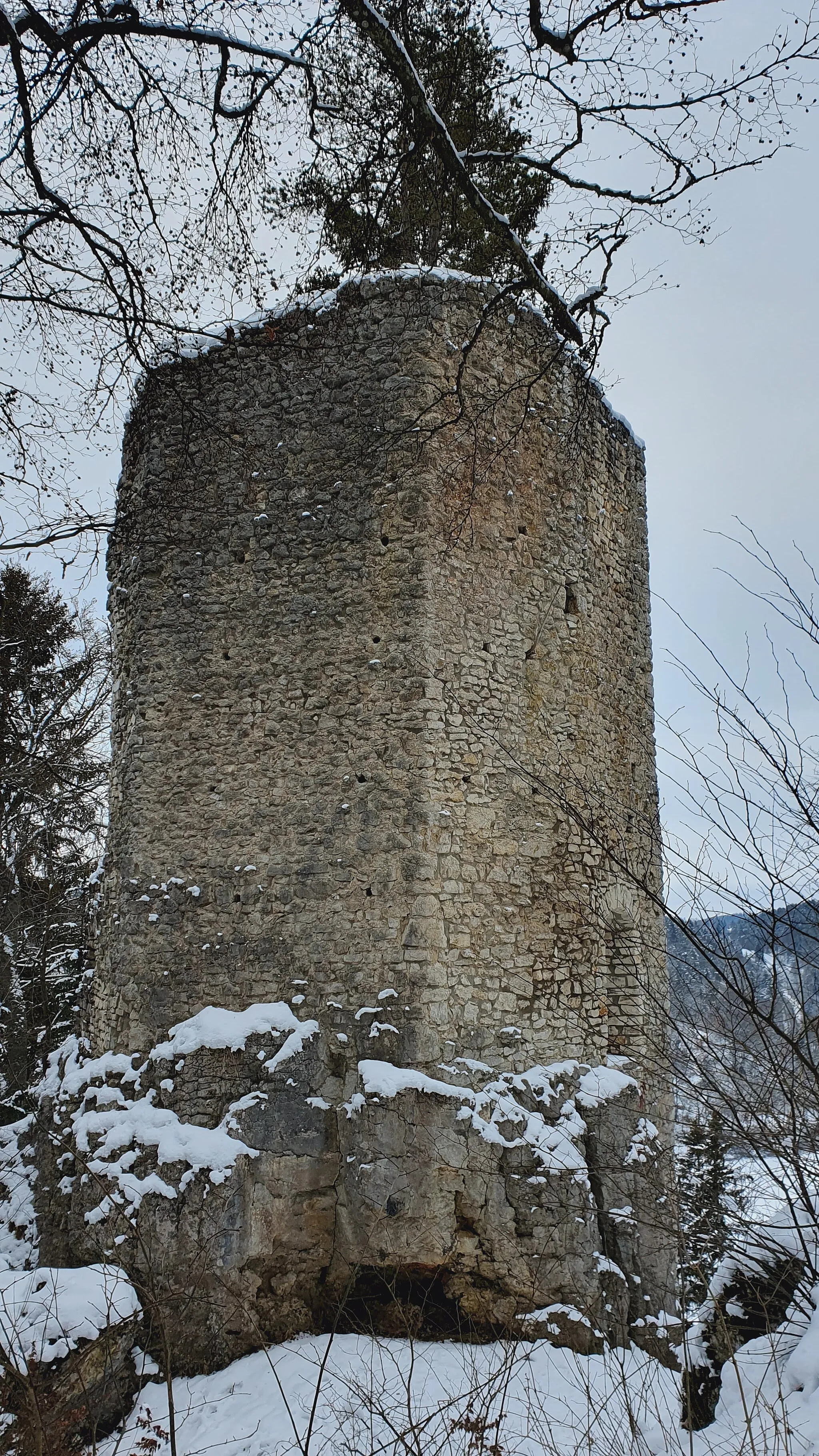 Photo showing: Castle Hohenerpfingen