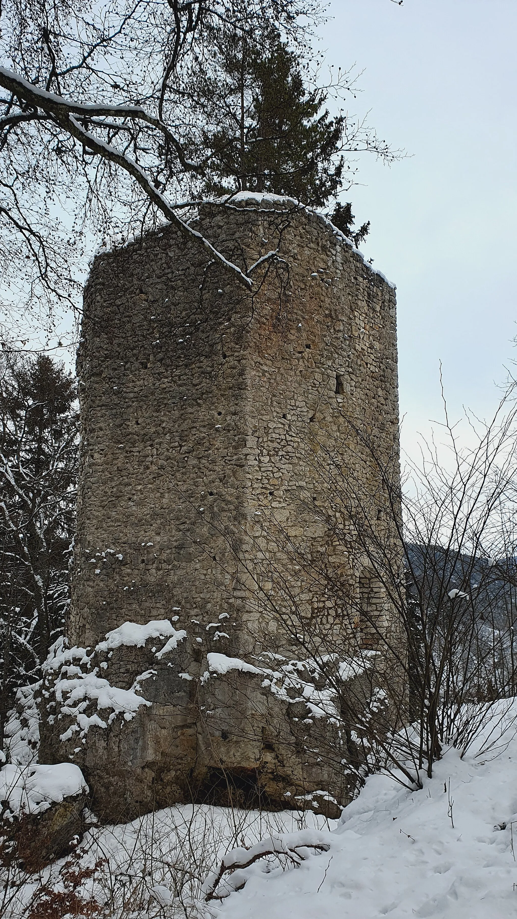 Photo showing: Castle Hohenerpfingen