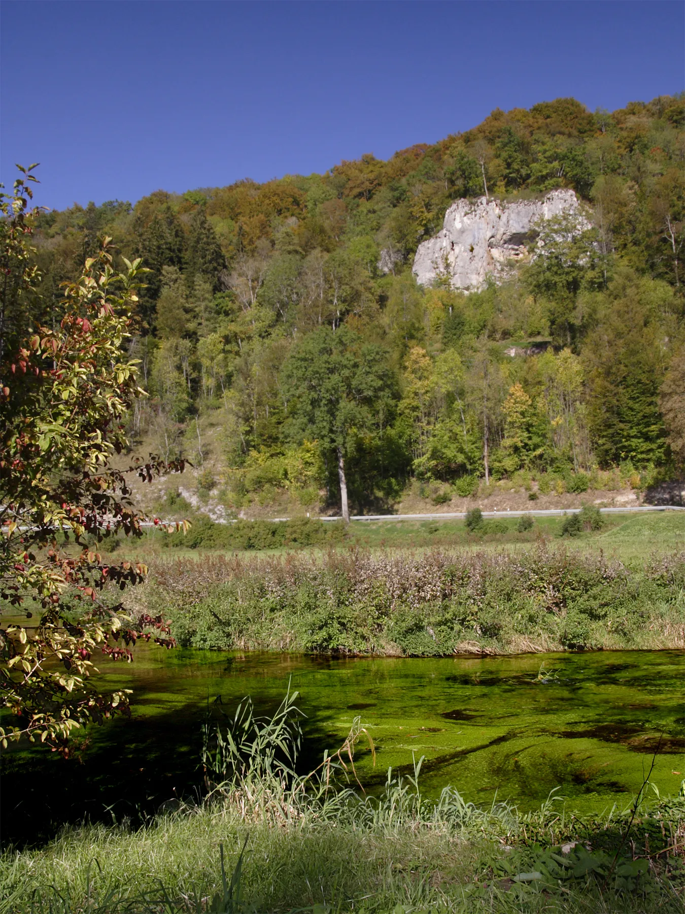 Photo showing: "Kachelfelsen", NNE of Hettingen, Swabian Alb - a mass jurassic rock, well above river Lauchert. The hollow in the hard limestone rock is the result of fluvial erosion of a much earlier stage of the river. The water is rich in fish, but kind of eutrophic.