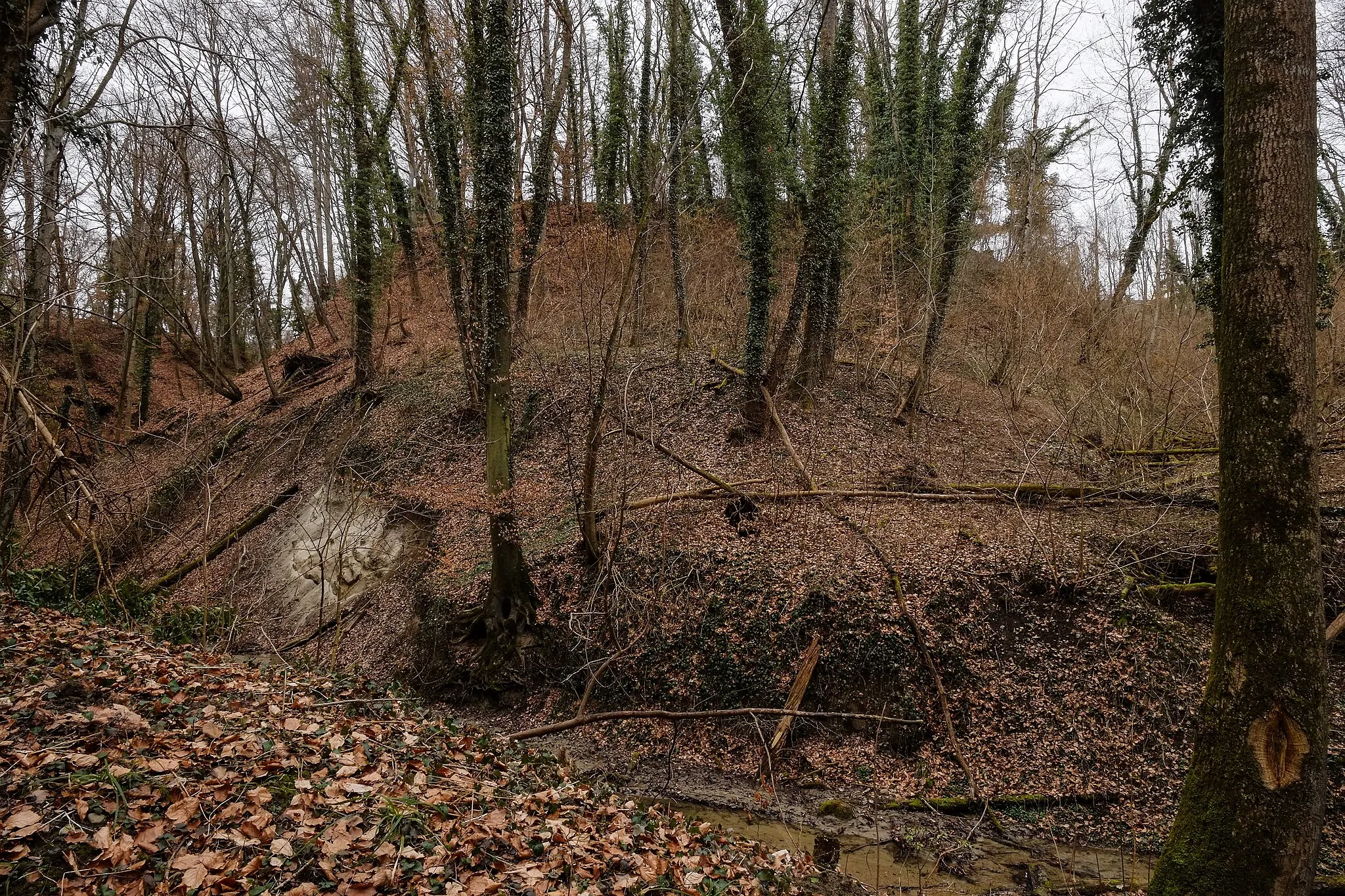 Photo showing: Place of a vanished castle, nowadays called Altschloß Markdorf, Markdorf, county Bodenseekreis, Baden Wurttemberg, Germany