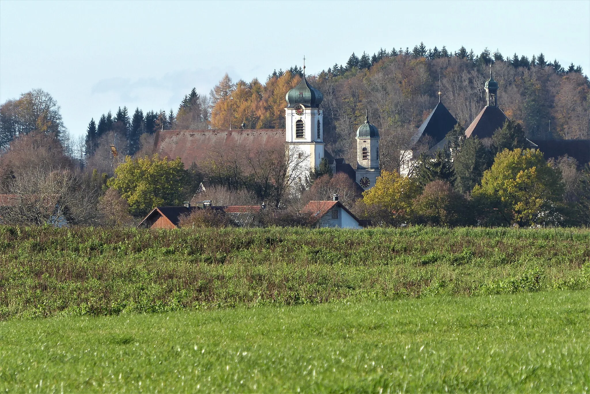 Photo showing: Pfarrkirche St. Katharina in Wolfegg