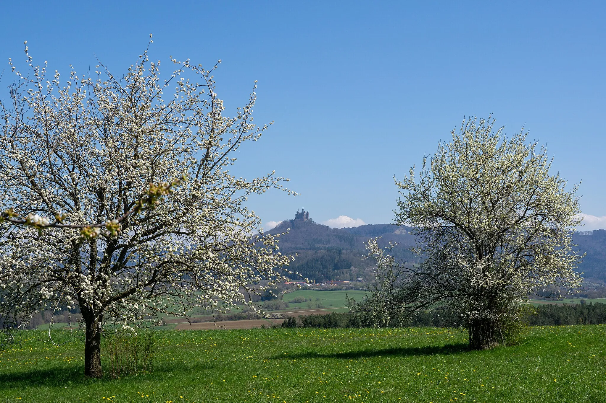 Photo showing: Im FFH Gebiet Gebiete zwischen Bisingen, Haigerloch und Rosenfeld.