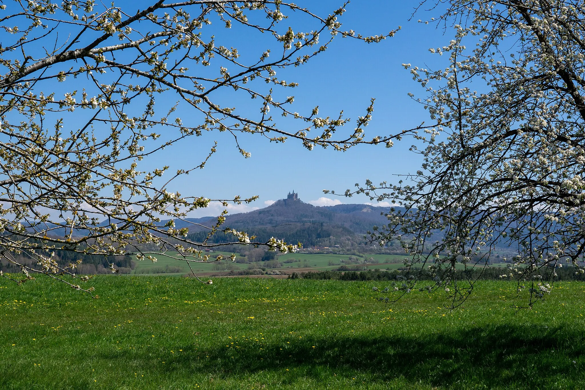 Photo showing: Im FFH Gebiet Gebiete zwischen Bisingen, Haigerloch und Rosenfeld.