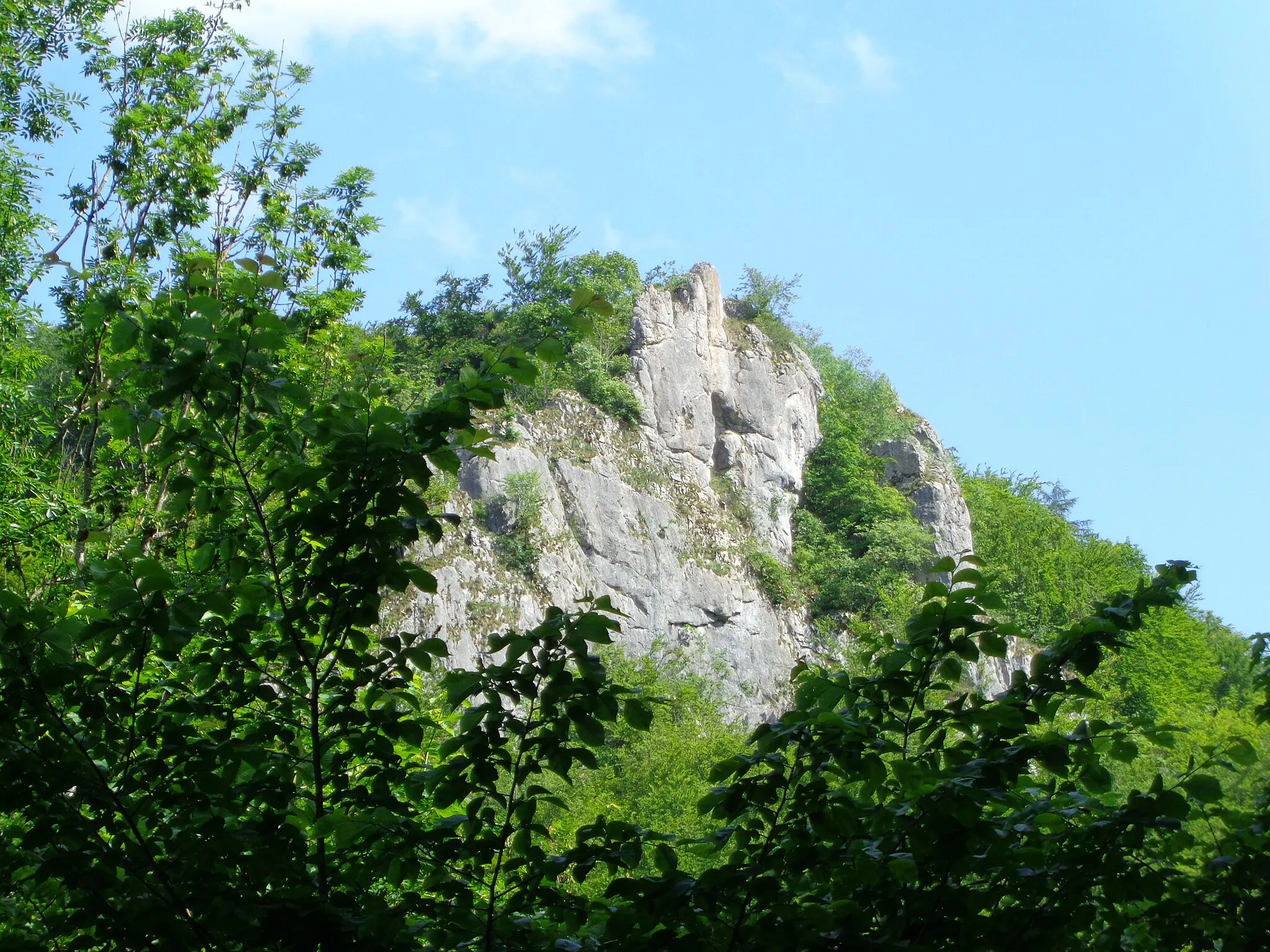 Photo showing: Flächenhaftes Naturdenkmal: Ruine Baldeck (84150780065);
Geotop: Ruine-Baldeck-Felsen und Felstor (Geotop-ID ND8415126);
FFH-Gebiet: Uracher Talspinne (7522341);
Biosphärengebiet Schwäbische Alb (Schutzgebiets-Nr. 1);

zwischen Bad Urach Seeburg (bei Urach)