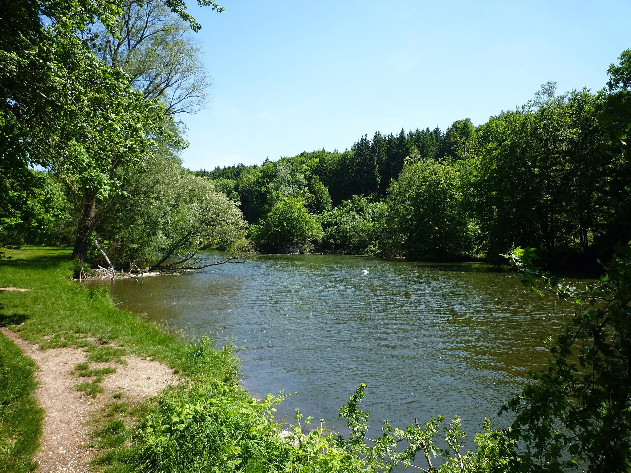 Photo showing: Rechtenstein - Naturschutzgebiet Braunsel, Donau