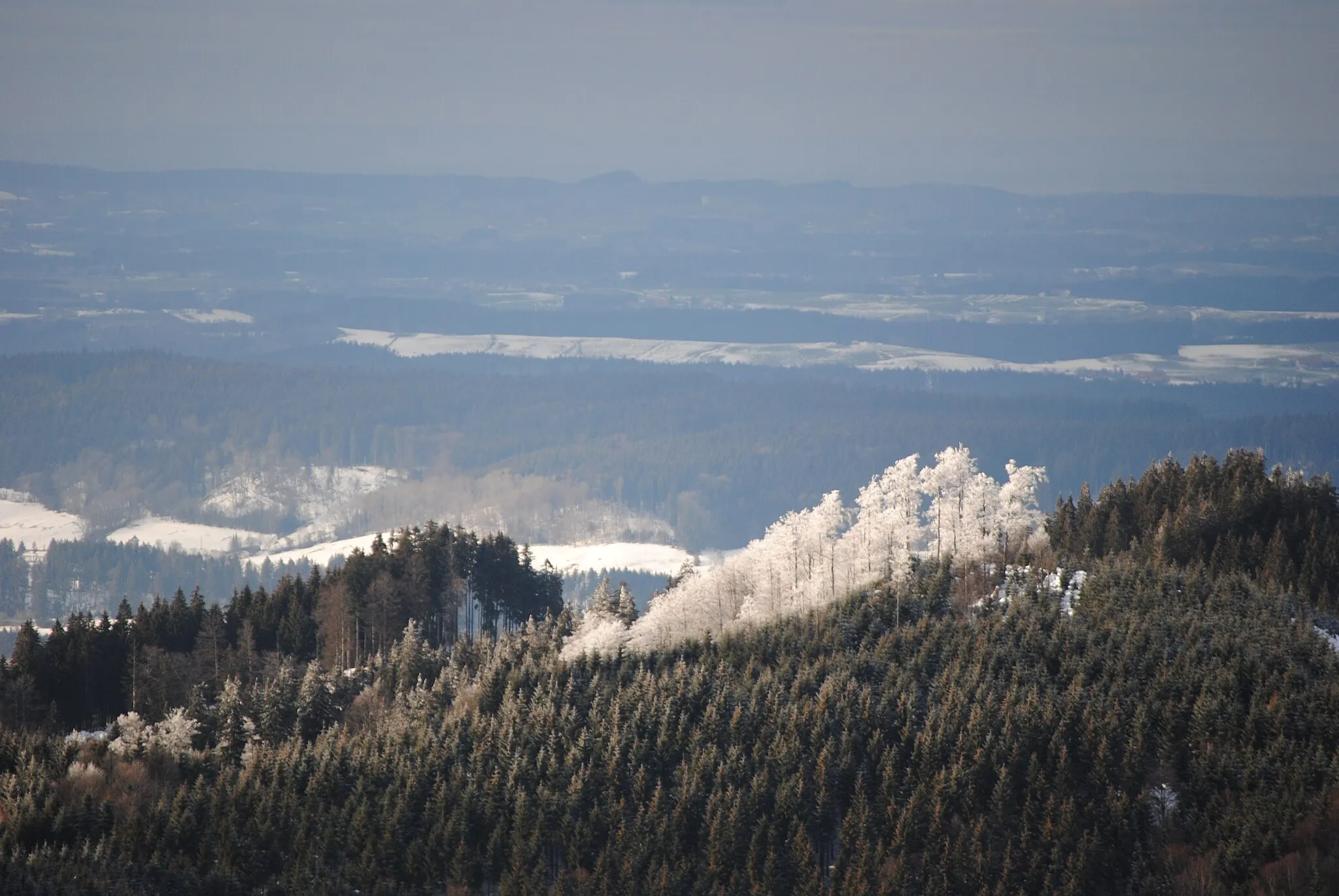 Photo showing: Baumgruppe am Schwarzen Grat