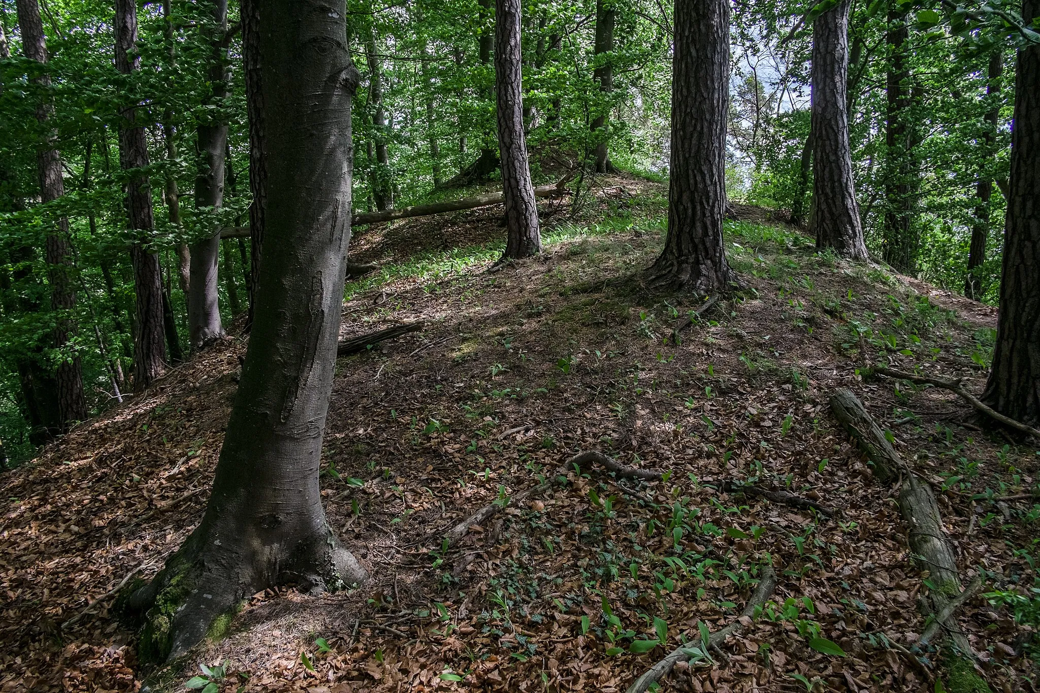 Photo showing: Castle ruin Hüneberg, Sipplingen, county Bodenseekreis, Baden Wurttemberg, Germany