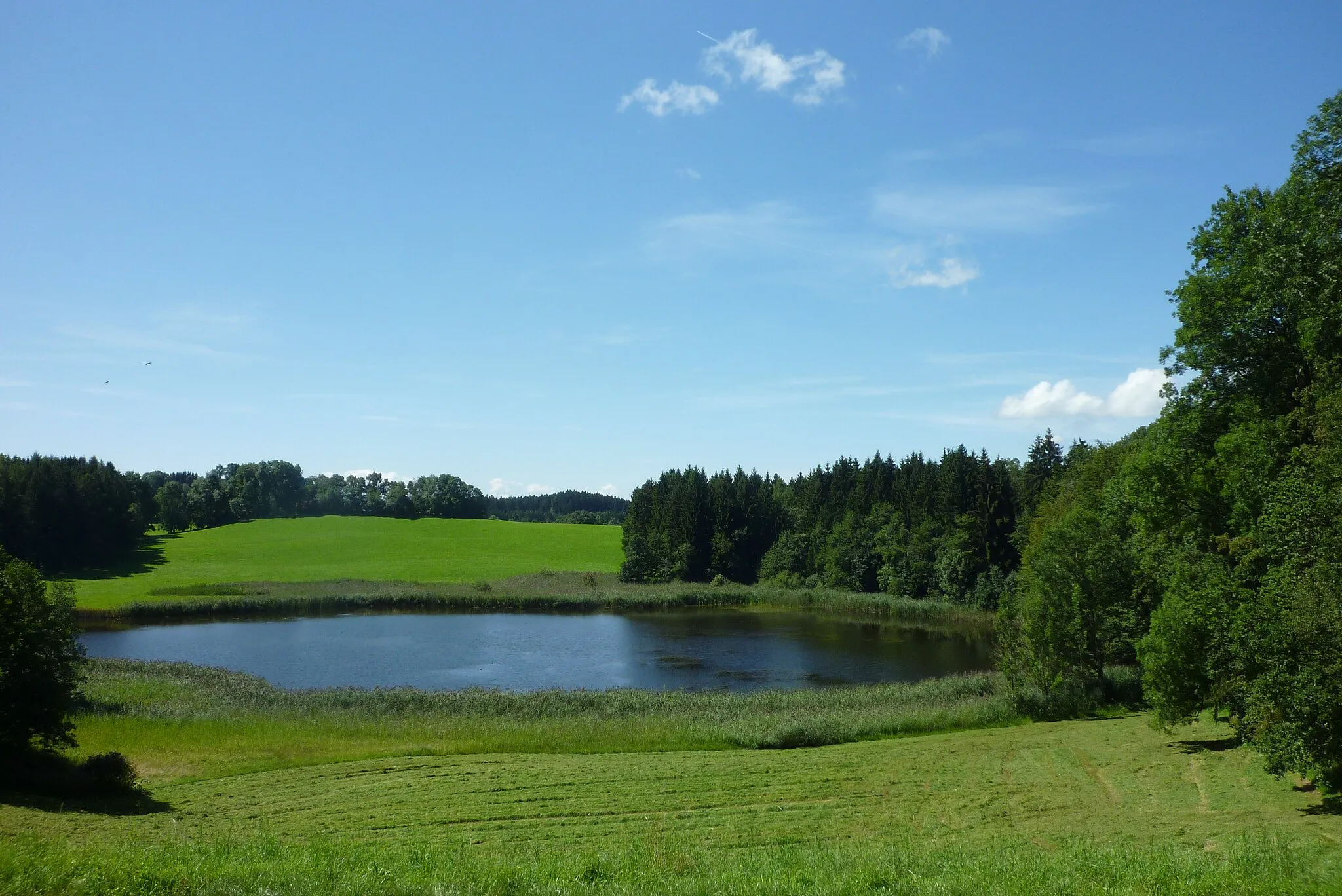 Photo showing: Argenbühl - Ratzenried, Moorsee bei der Burgruine