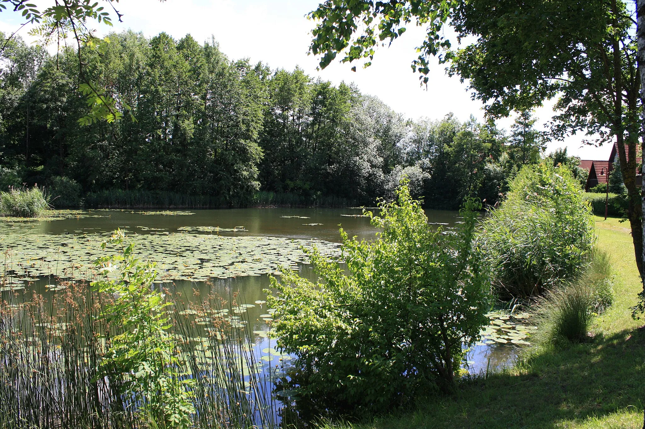 Photo showing: The village pond by Schlier