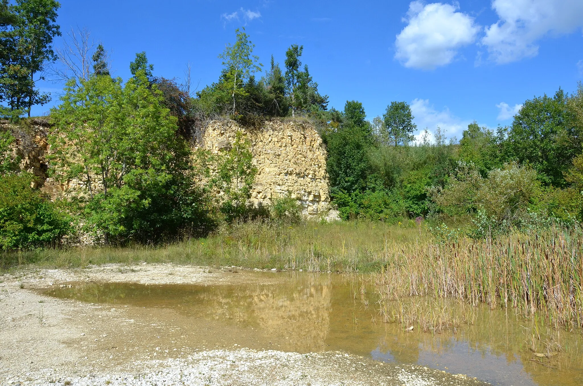 Photo showing: Geotop Aufg. Steinbruch Auchtberg N der Steige Pfeffingen-Onstmettingen am Rande der Hochfläche bei Pfeffingen im Zollernalbkreis, Biotop Steinbruchwände am Auchtberg nördlich von Pfeffingen, Landschaftsschutzgebiet Hundsrücken, Naturraum Hohe Schwabenalb