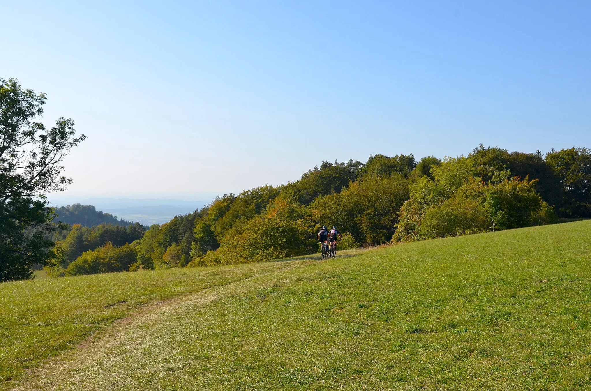 Photo showing: Wasserschutzgebiet Uchentalquelle II' (Albstadt), Naturschutzgebiet Irrenberg-Hundsrücken, Biotop Magerrasen im NSG Irrenberg, FFH-Gebiete Gebiete um Albstadt, Vogelschutzgebiet Südwestalb und Oberes Donautal, Naturraum Hohe Schwabenalb