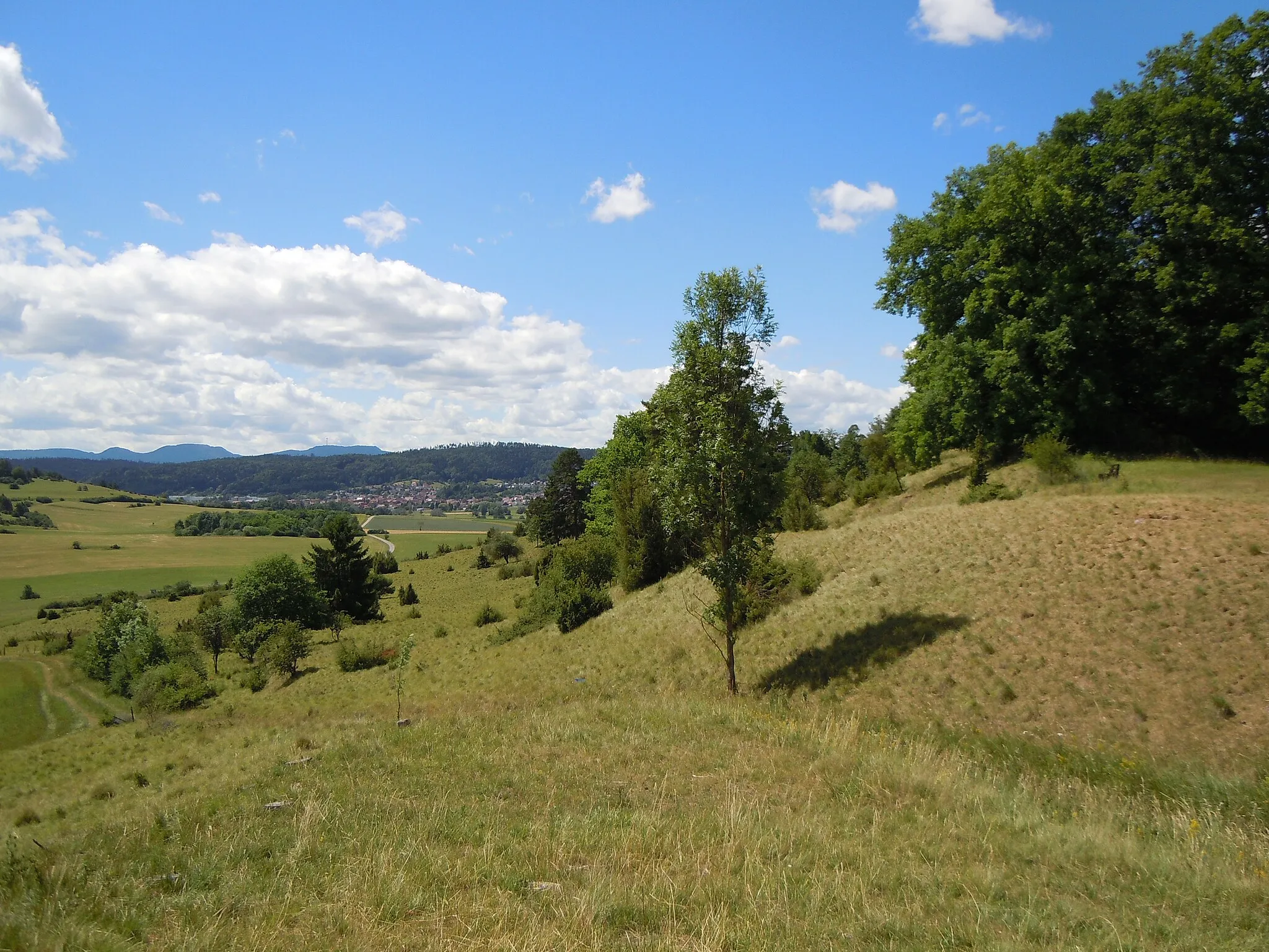 Photo showing: Naturschutzgebiet Stettener Weinberg: Der Osten des Gebiets, Blickrichtung Süd, hangabwärts. Im Hintergrund der Haigerlocher Stadtteil Owingen, ganz hinten der Albtrauf