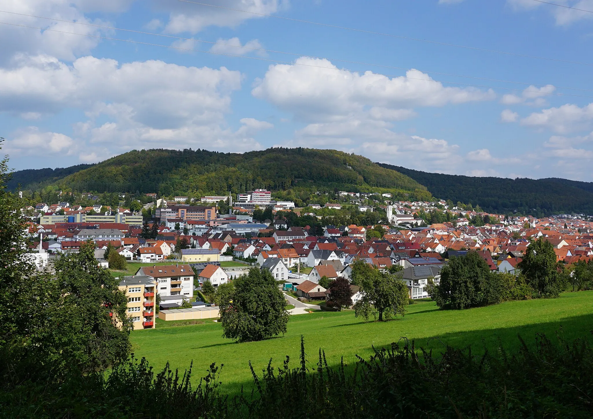 Photo showing: Blick auf Burladingen