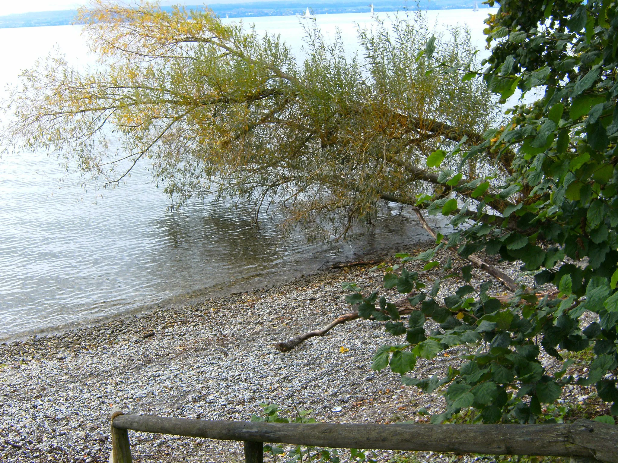 Photo showing: Natural beach of Lake Constance of the village of Stetten (Bodenseekreis) at the path from Meersburg to Hagnau.