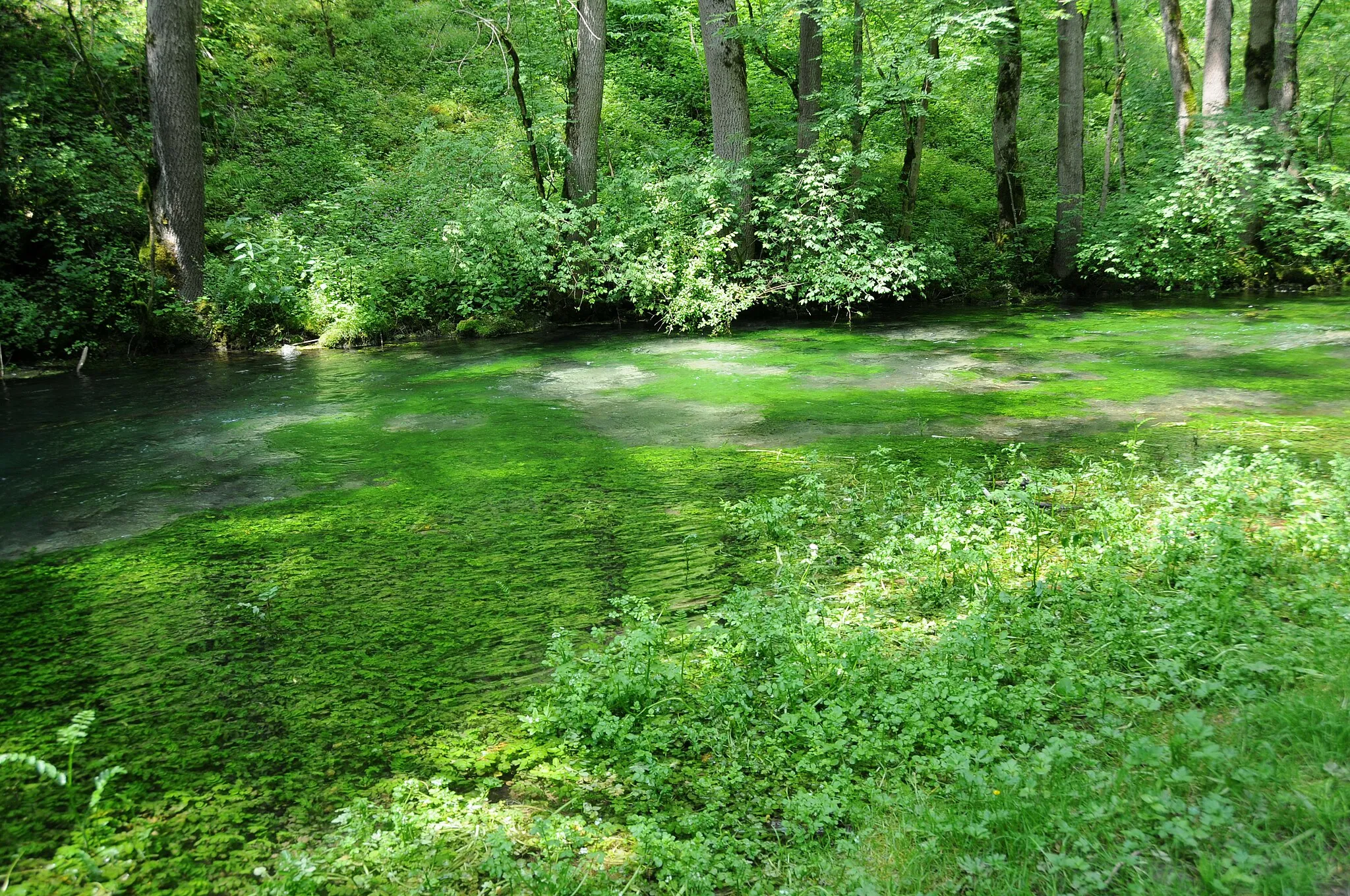 Photo showing: The little river "Zwiefalter Ach" at the Swabian alb, Germany