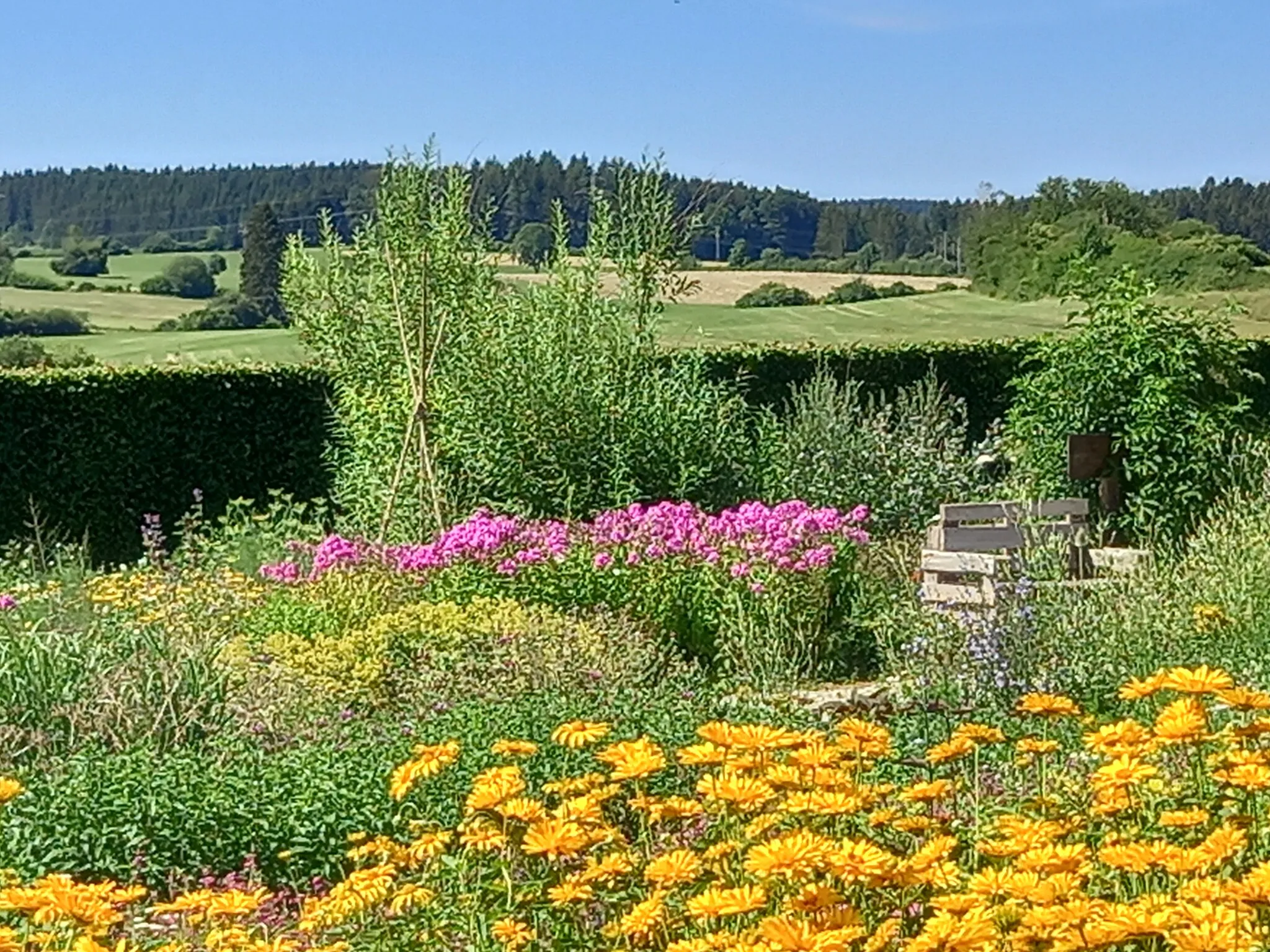 Photo showing: Kostenlos zugänglicher, ca. 2 ha großer privater Kräutergarten bei Trochtelfingen (Landkreis Reutlingen)