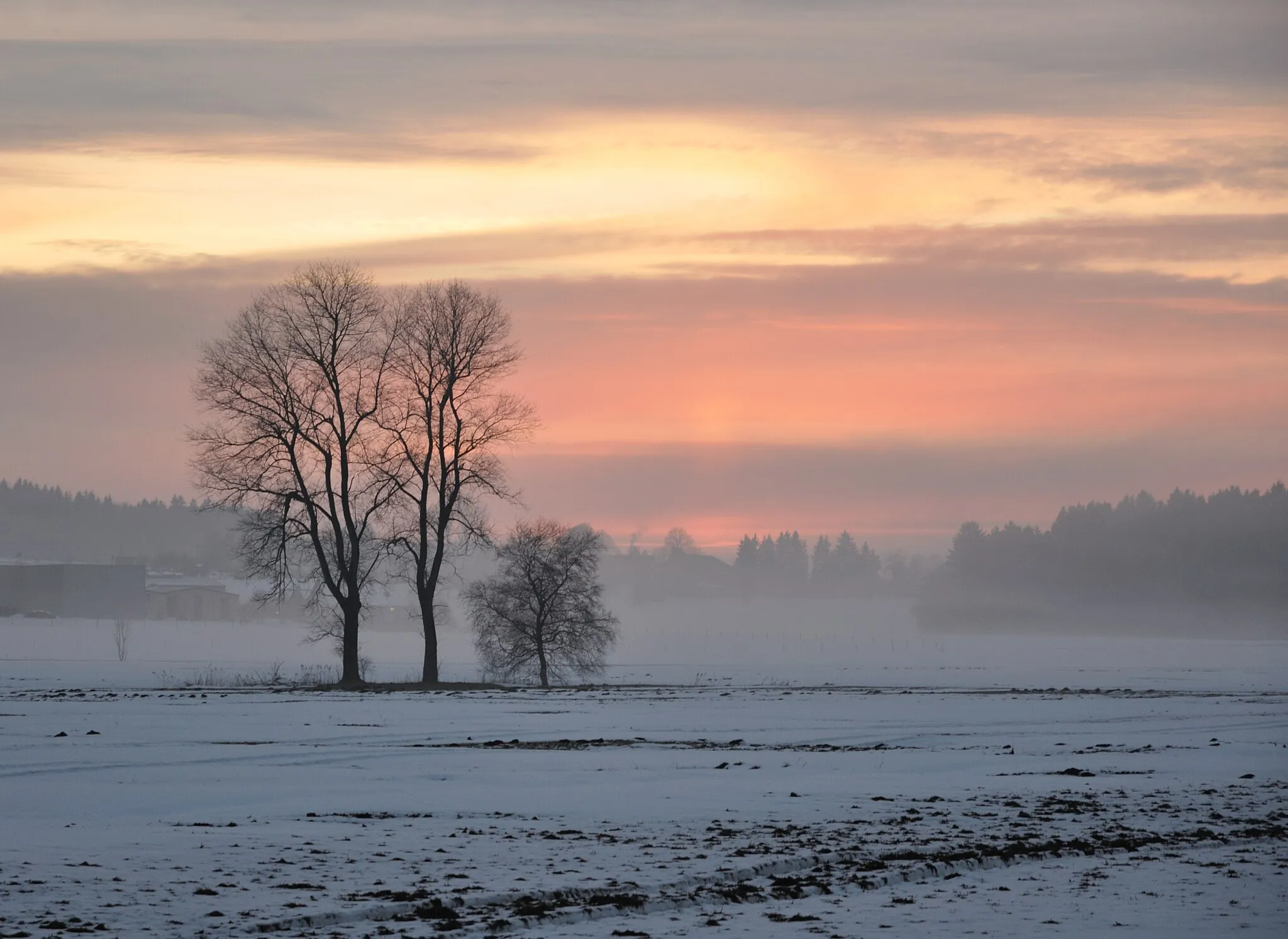 Photo showing: Sonnenuntergang am Ruschweiler See, Ilmensee-Ruschweiler