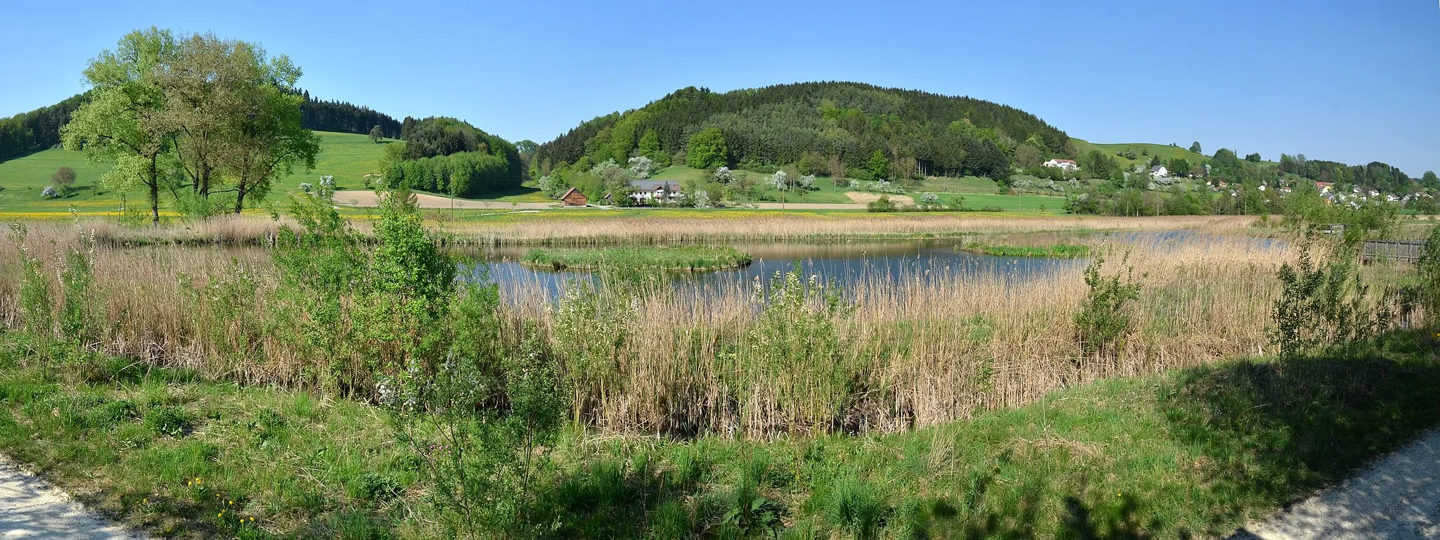 Photo showing: Sielmann-Weiher, Owingen-Billafingen