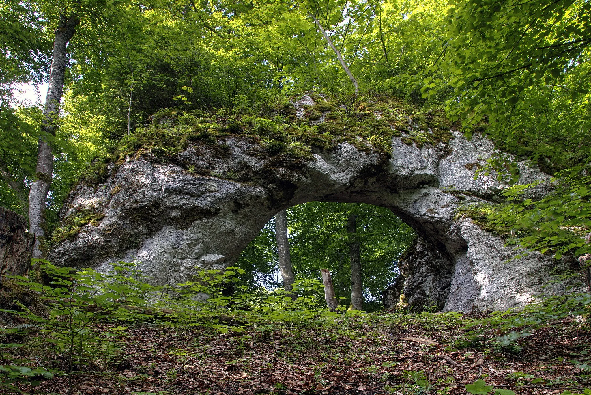 Photo showing: Heidentor near Egesheim from below. Natural arch at the Großer Heuberg plateau, near Tuttlingen, Baden-Württemberg, Germany. It is a natural monument. HDR made of 7 images.