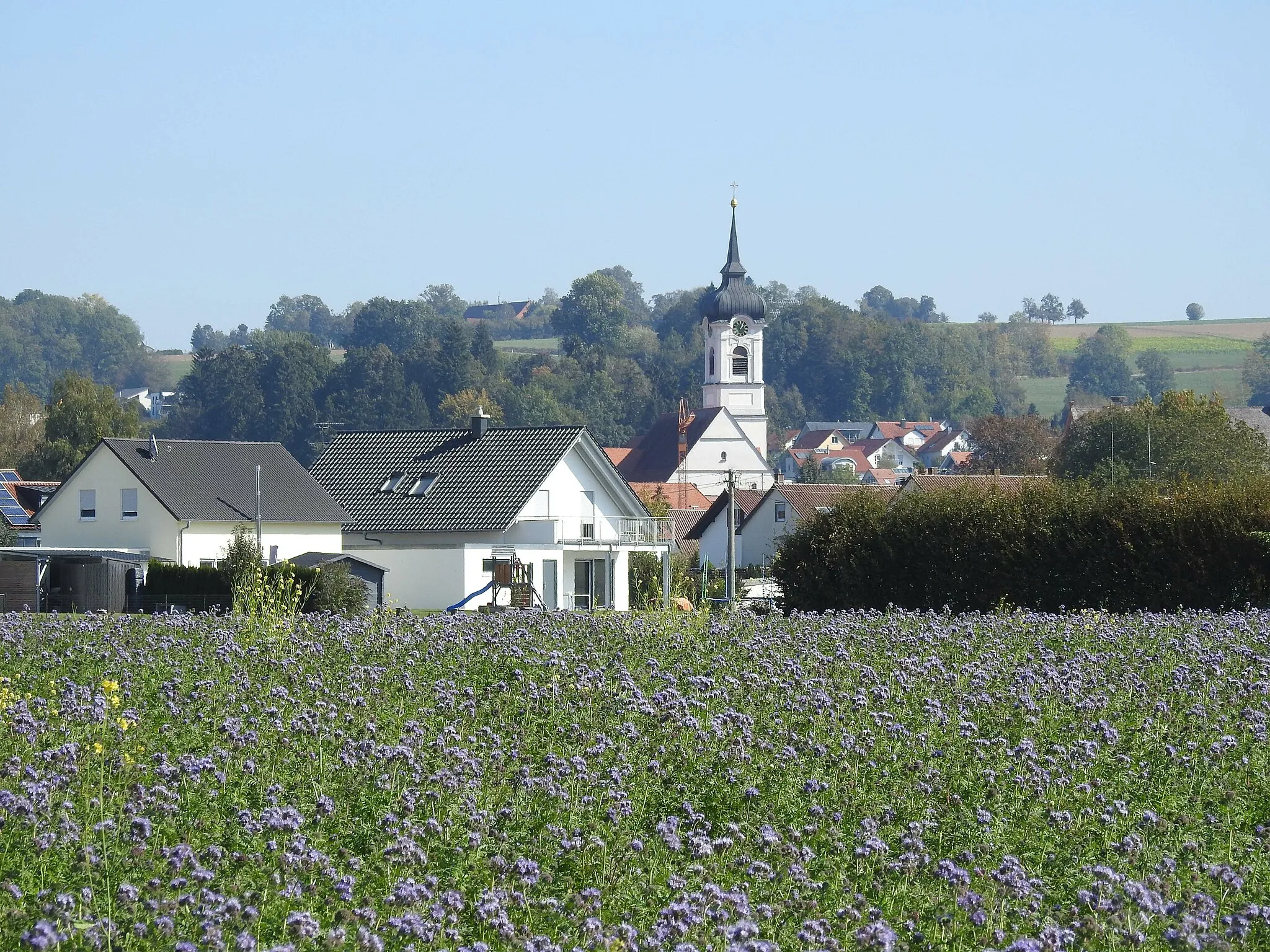 Photo showing: Ummendorf bei Biberach von Westen