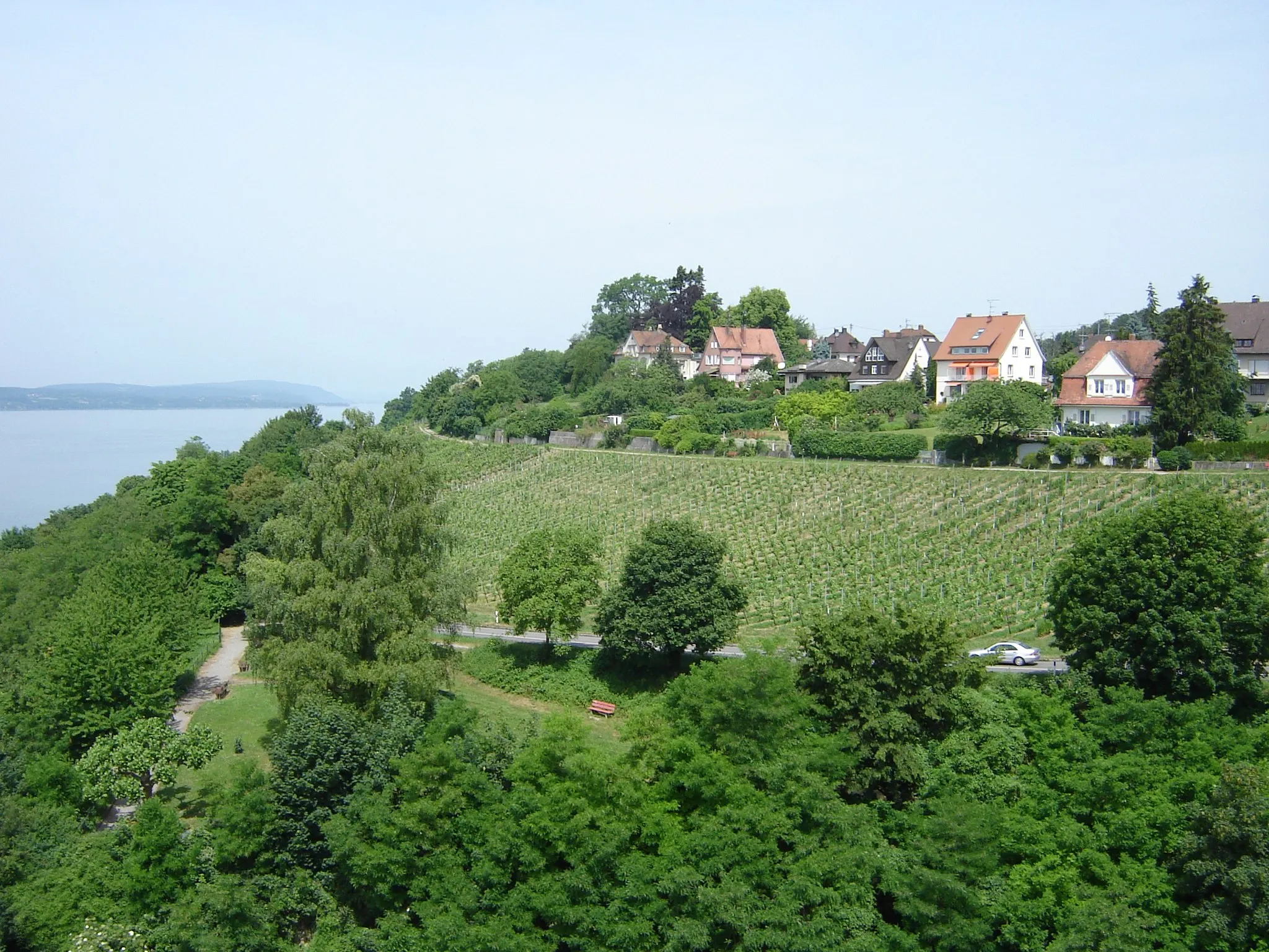 Photo showing: German vineyards in Meersburg overlooking Lake Constance, as seen from the tower of the Castle Meersburg.