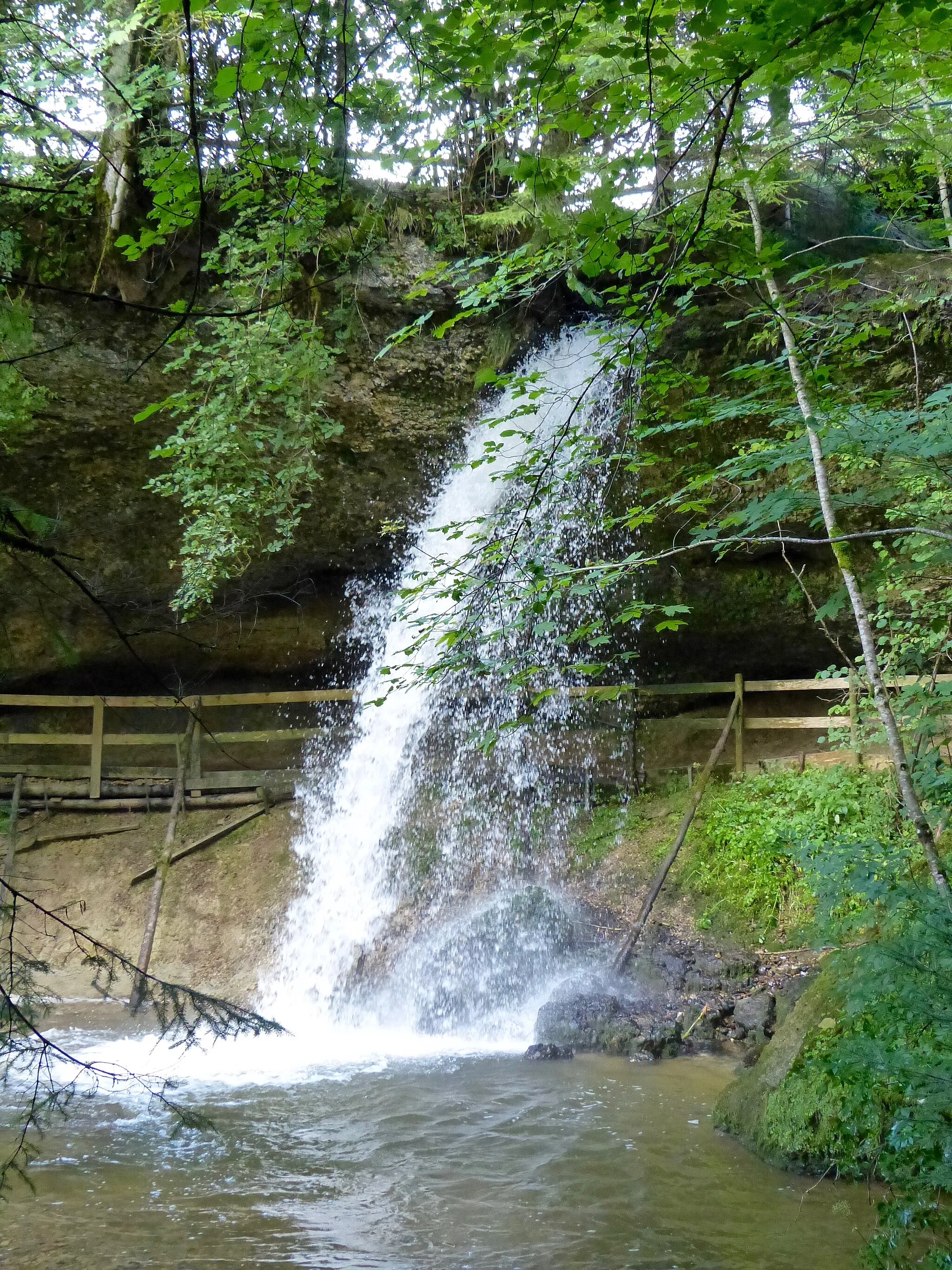Photo showing: WikiProjekt Landstreicher Geotop Scheidegger Wasserfälle