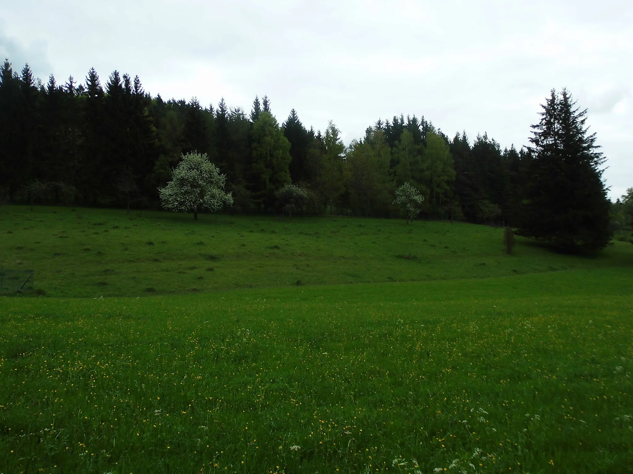 Photo showing: Landschaftsschutzgebiet Albstadt-Bitz (Nr. 4.17.001) zwischen Tailfingen und Linkenboldshöhle