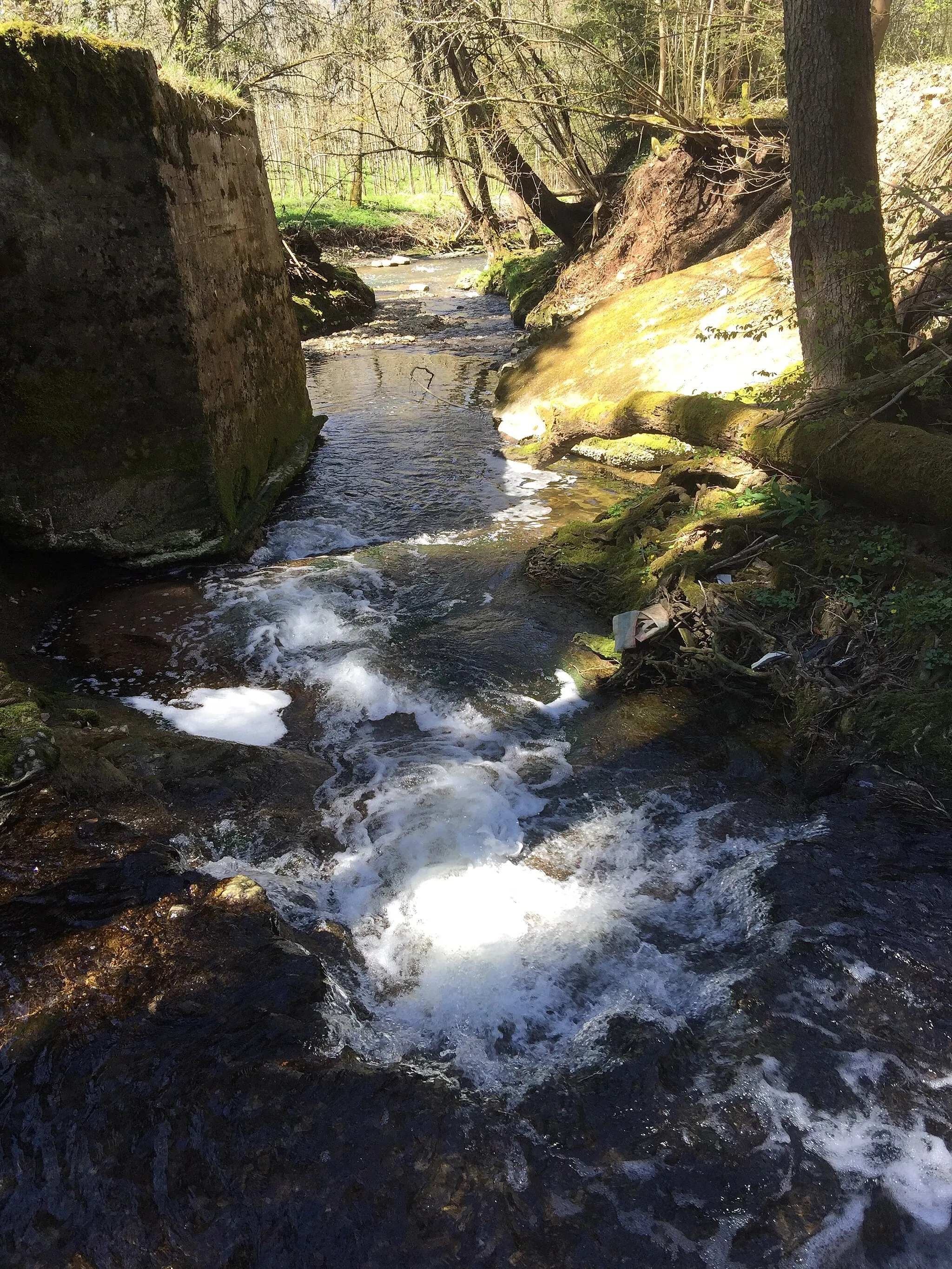 Photo showing: Klingenbach, wenige Meter oberhalb der Mündung in die Eyach  im "Kühlen Grund" (Balingen).