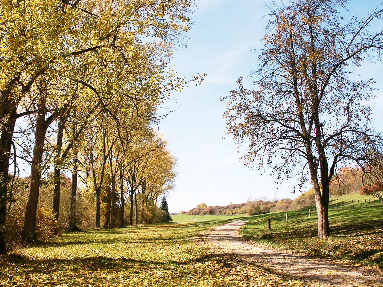 Photo showing: View of the Ostdorf country side. Ostdorf, Balingen, Wuettemberg, Germany.