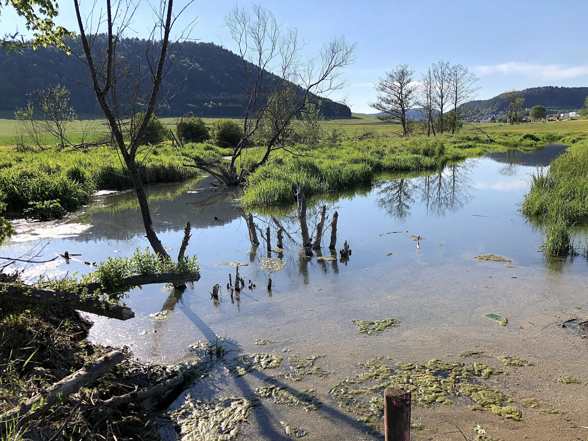 Photo showing: Landschaftsschutzgebiet Großer Heuberg, Biotop Feuchtkomplex südlich Tieringen, Naturraum Hohe Schwabenalb, Vogelschutzgebiet Südwestalb und Oberes Donautal, FFH-Gebiet Östlicher Großer Heuberg