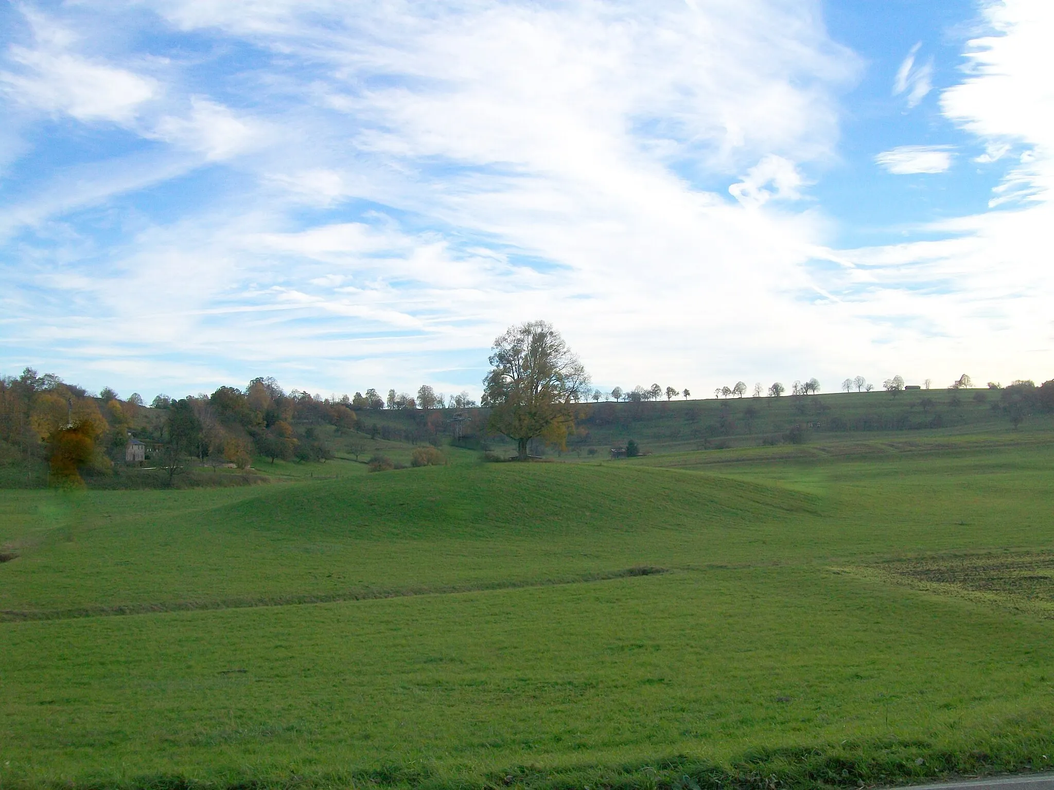 Photo showing: Linde auf dem Weiherbuckel bei Weilheim