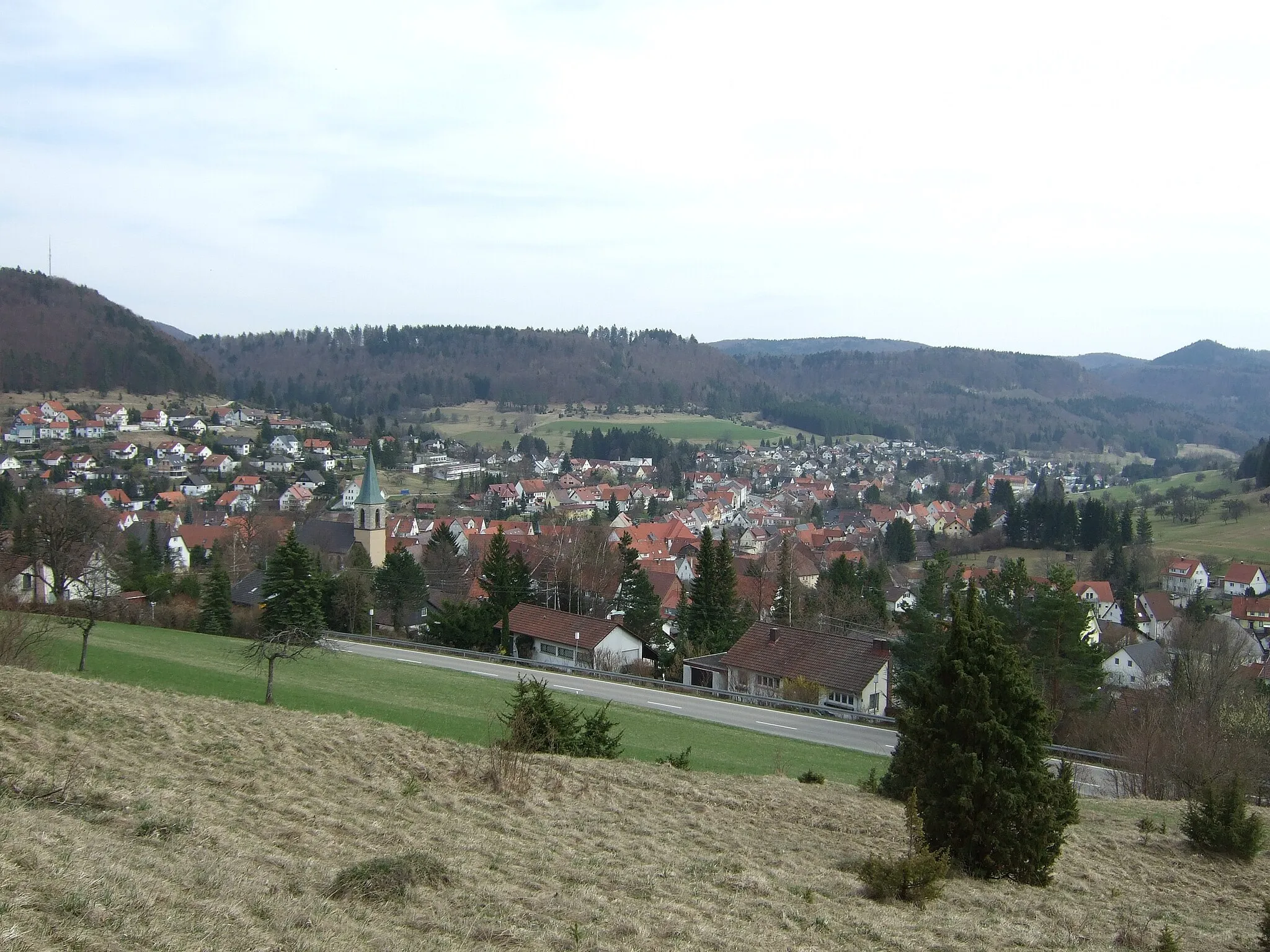 Photo showing: Pfeffingen Albstadt Panorama