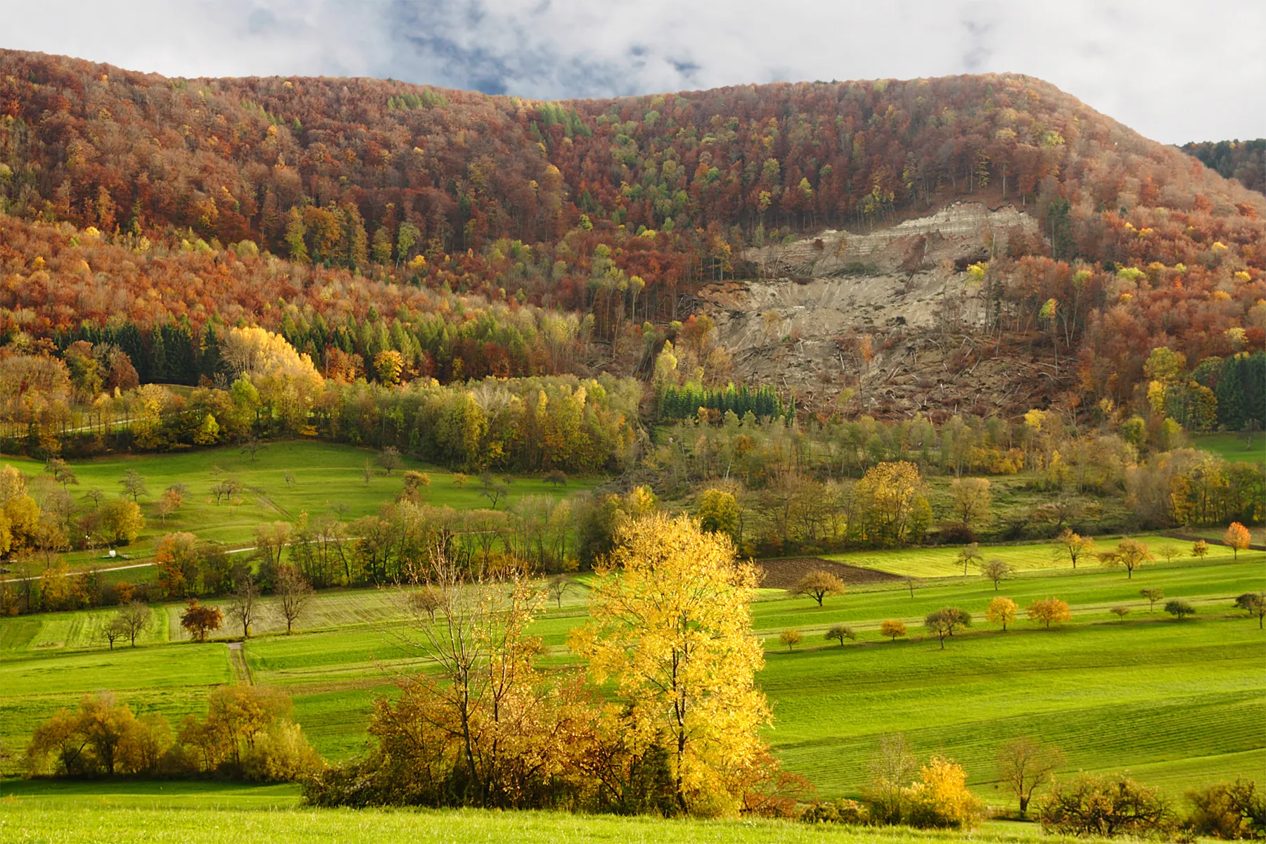 Photo showing: Albtrauf near Talheim (Mössingen), escarpment of strata from Early to Late Jurassic. The landslide happened  on May 2nd, 2013, after lasting heavy rains. Wetted, clayish Middle Jurassic layers liquefied,  making the slope and rock walls slide. Pertaining erosion, tectonics and weathering moved the Albtrauf at least 19 km since the extinction of the volcano in Stuttgart (Scharnhausen) 15Ma years ago (volcanic pipe contains Late Jurassic rock).