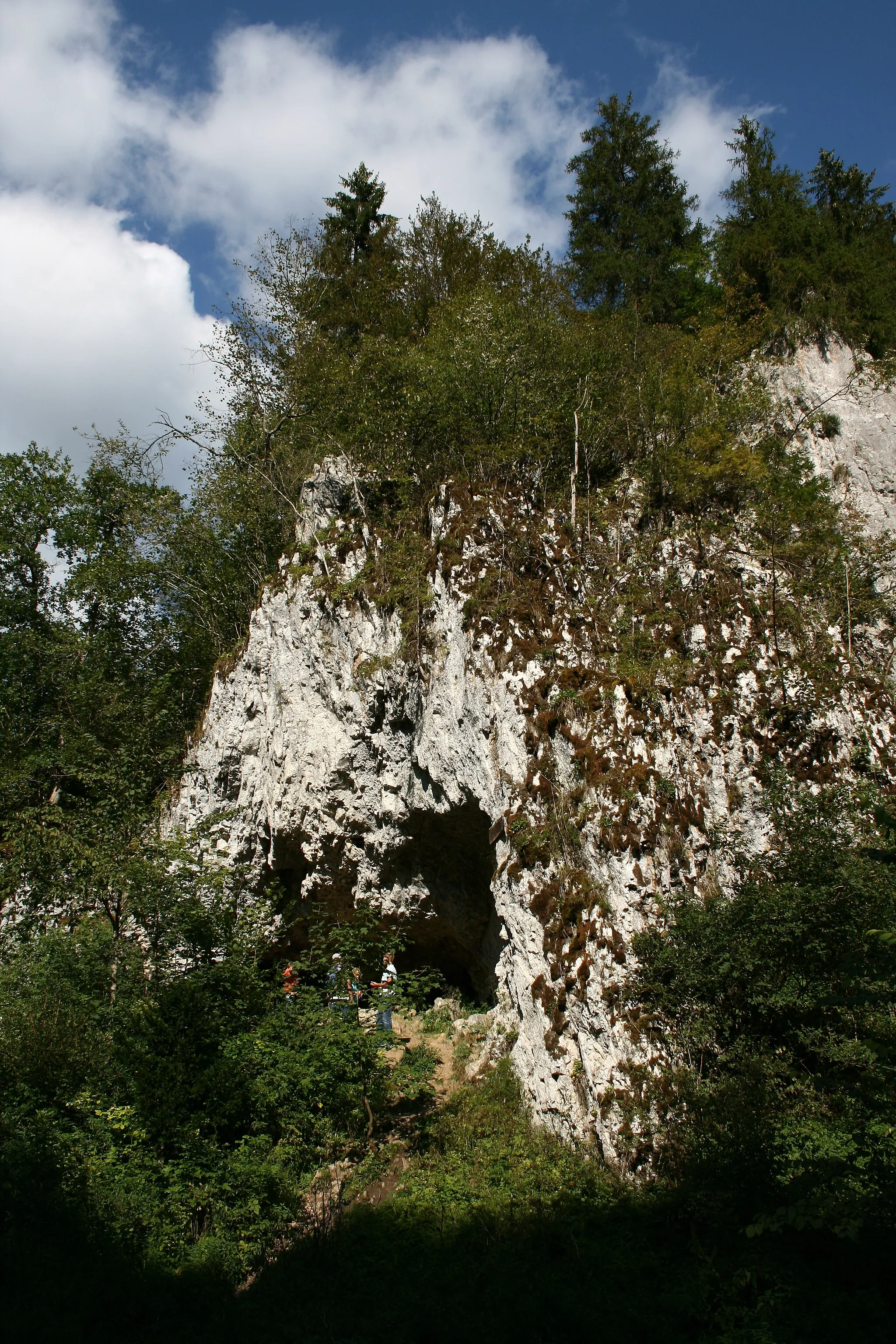 Photo showing: Bärenhöhle im Glastal bei Hayingen auf der Schwäbischen Alb