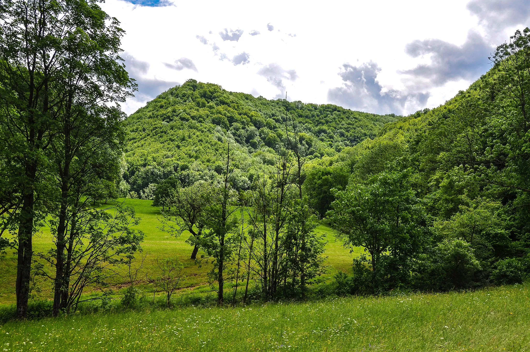 Photo showing: Naturschutzgebiet „Oberes Lenninger Tal mit Seitentälern“ (NSG 1.152): Im hinteren Talabschnitt tritt der Albtrauf hervor, auf der Kuppe gibt es eine Burgruine namens Sperberseck.
