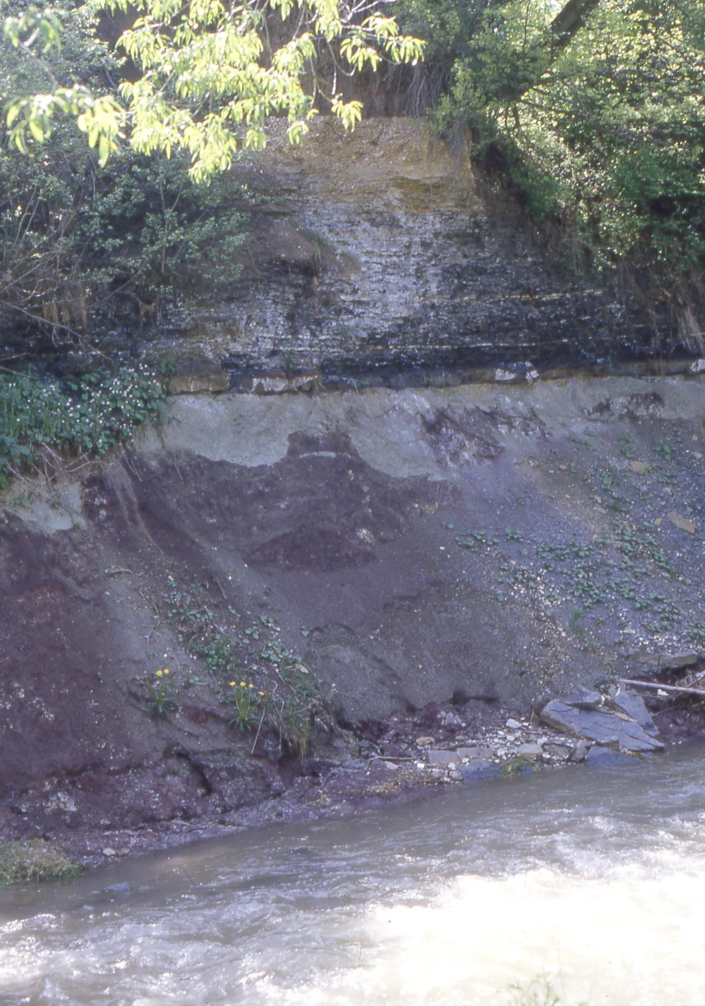 Photo showing: Grenzaufschluss zwischen Exter-Formation (Lias alpha) und Trossingen-Formation (Knollenmergel) an einem Prallhang der Starzel bei Hechingen-Stein.