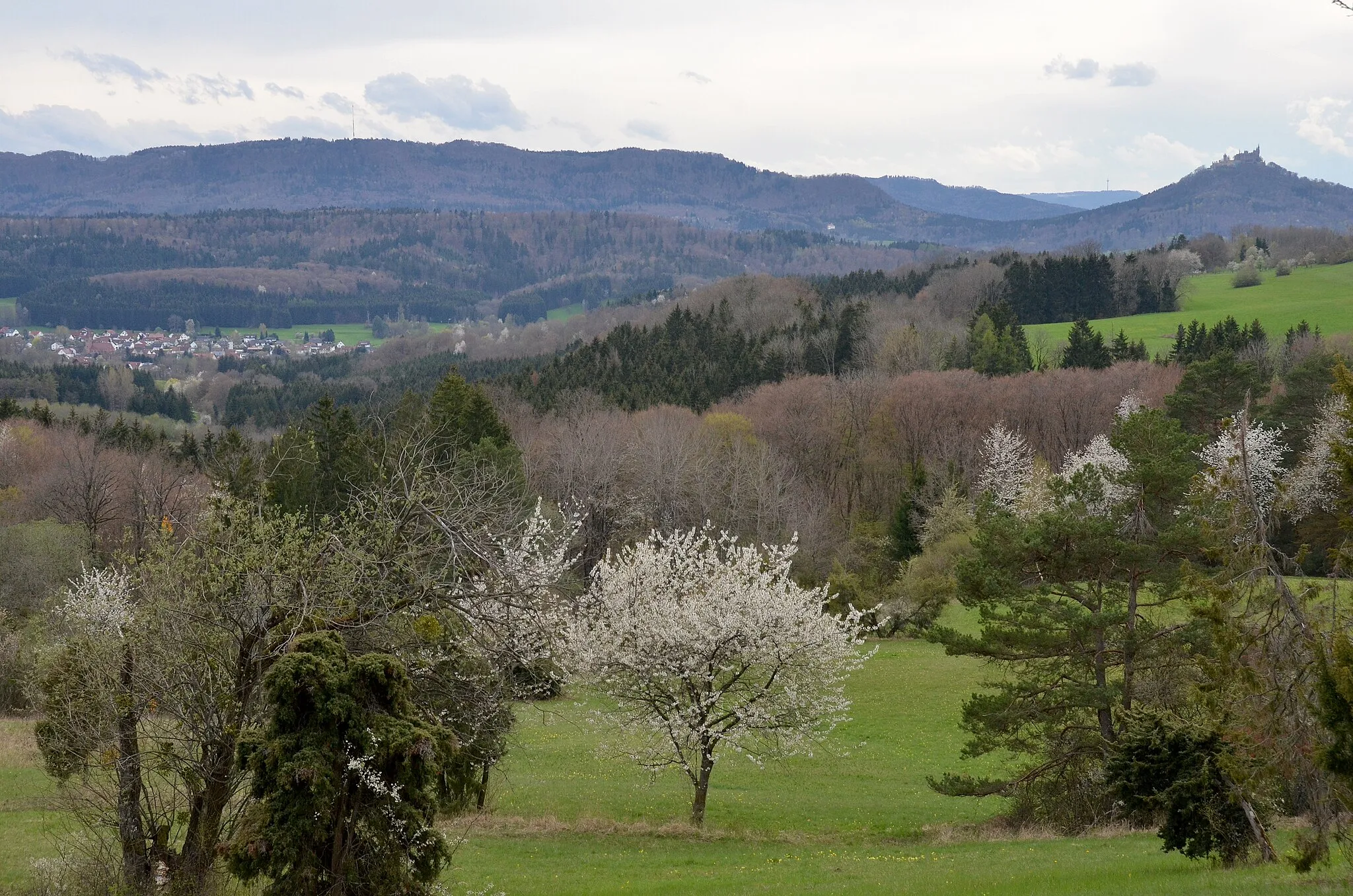 Photo showing: Blick vom Naturschutzgebiet Beurener Heide, Vogelschutzgebiet Südwestalb und Oberes Donautal, FFH-Gebiet Reichenbach und Killertal zwischen Hechingen und Burladingen zum Raichberg und zur Burg Hohenzollern