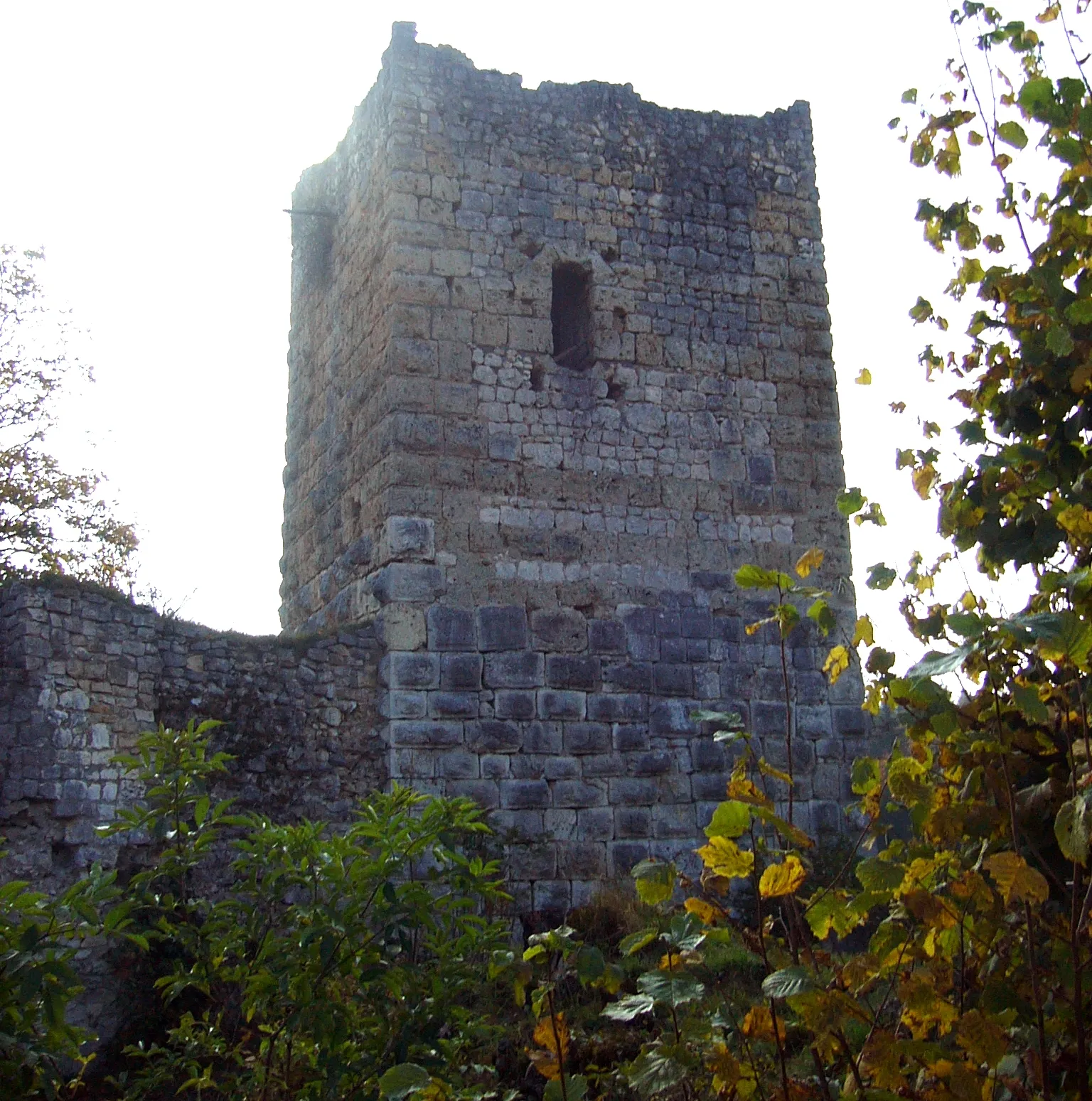 Photo showing: Kallenberg Castle, ruins of the keep.