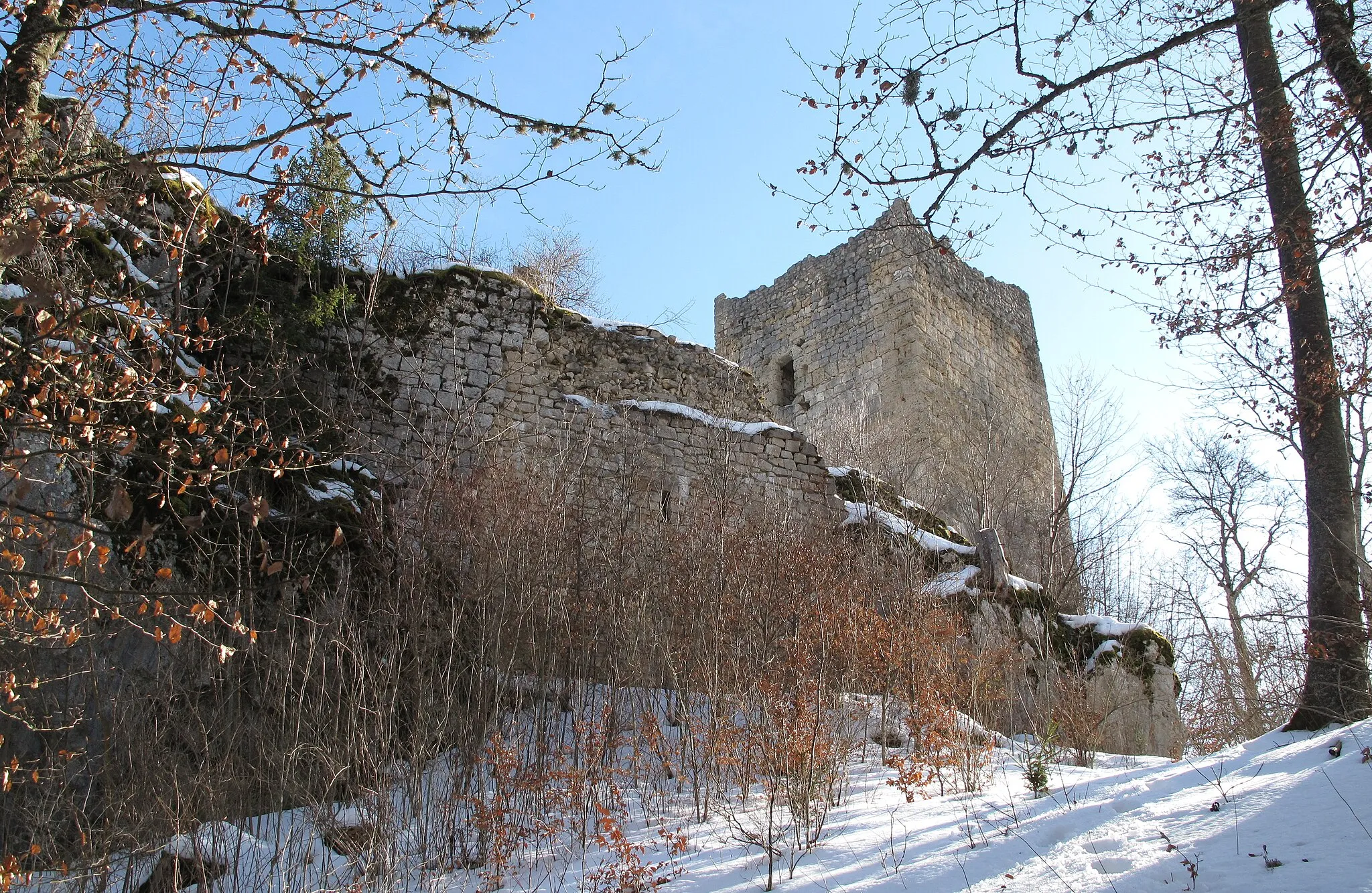 Photo showing: Blick von der ehemaligen Vorburg auf die Westmauer und den Bergfried.